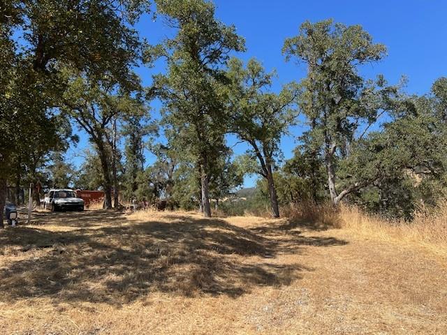 8340 Ascension Lane