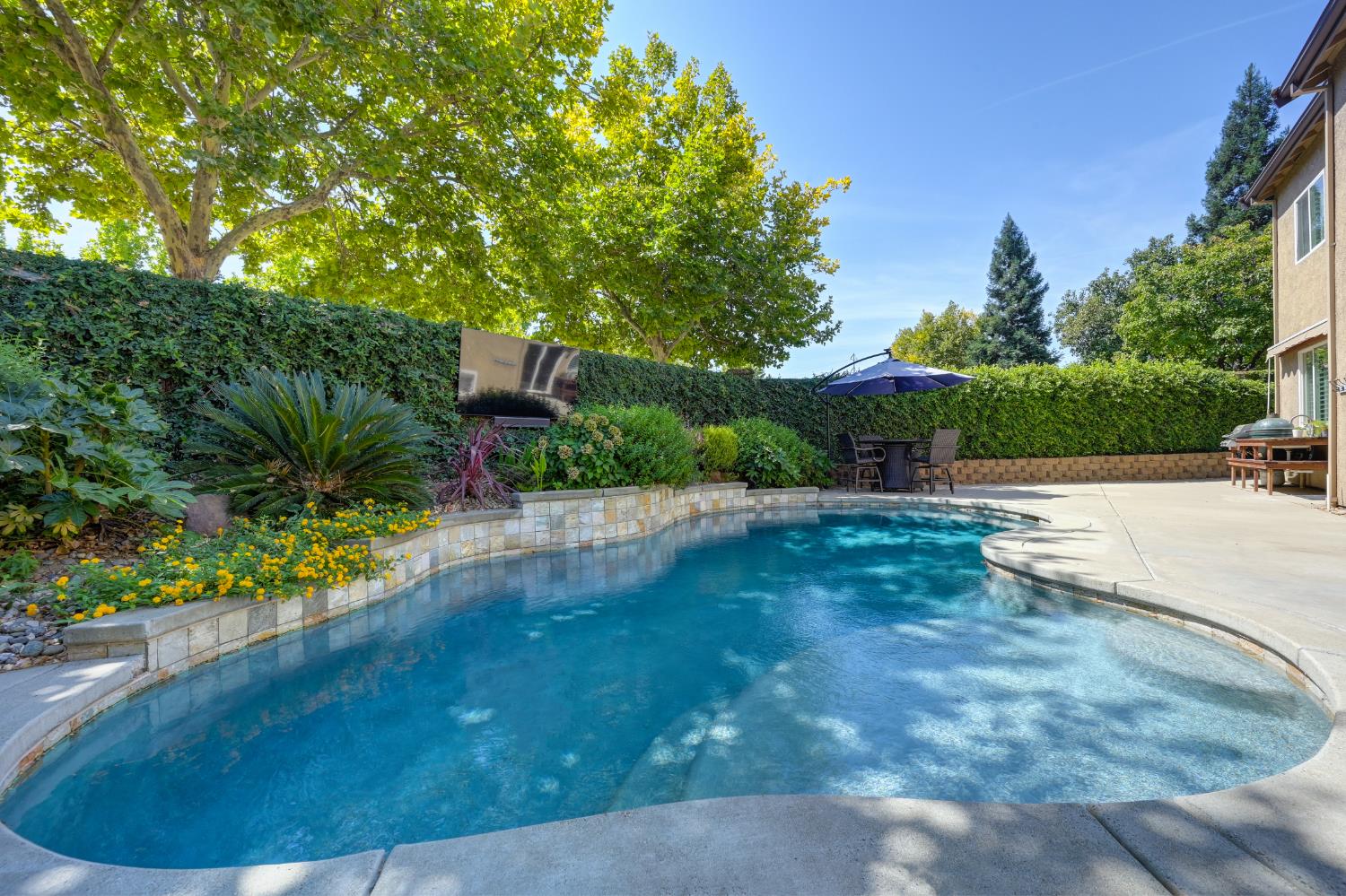 1636 Roadrunner Drive