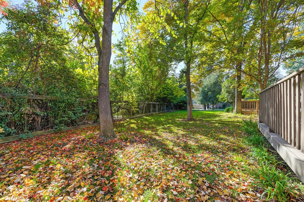 6902 Monticello Court