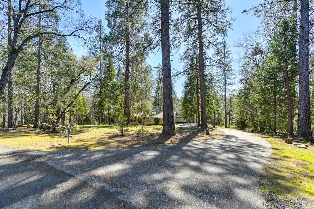 2017 Oak Hill Lane