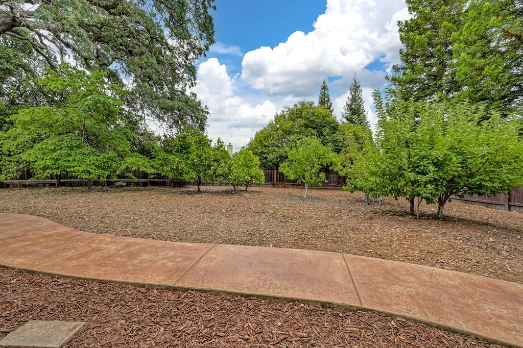 1025 Tanzania Drive