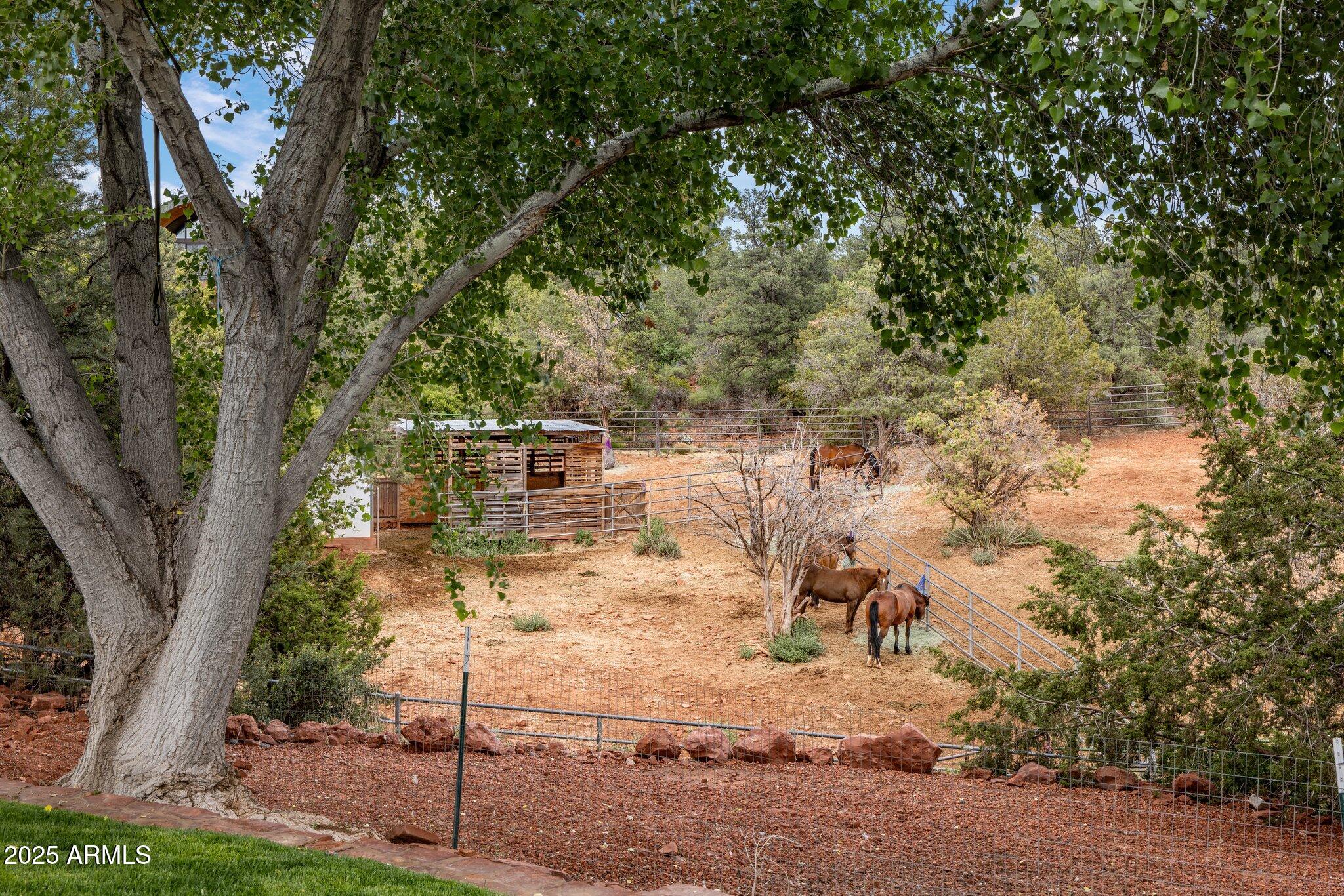 504 BRISTLECONE PINES Road
