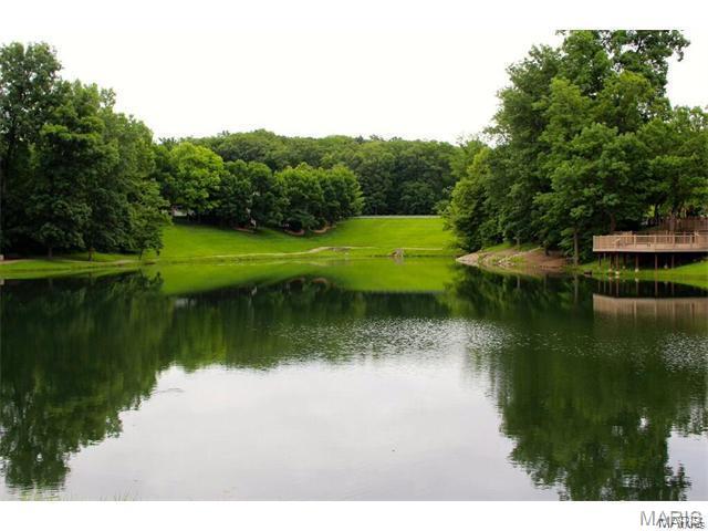 17732 Birch Leaf Court