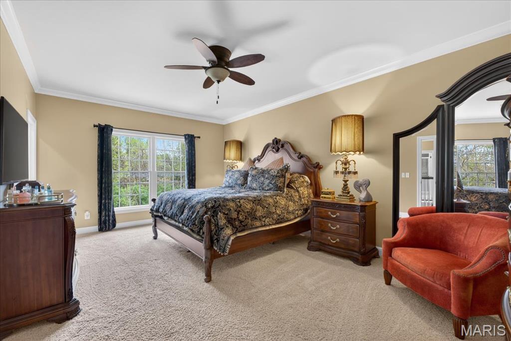 12404 Cedar Moor Drive