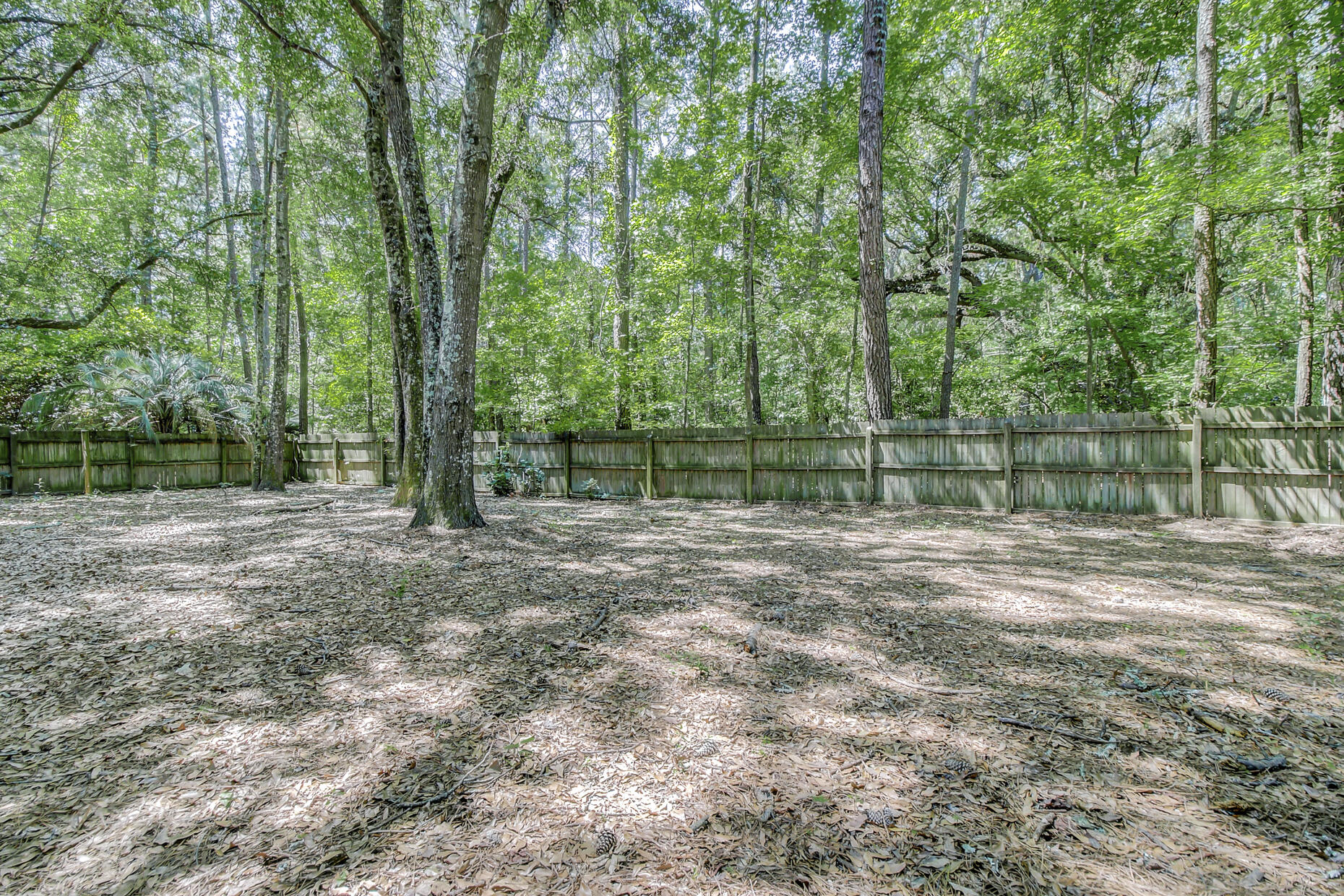 3631 Woodscape Court