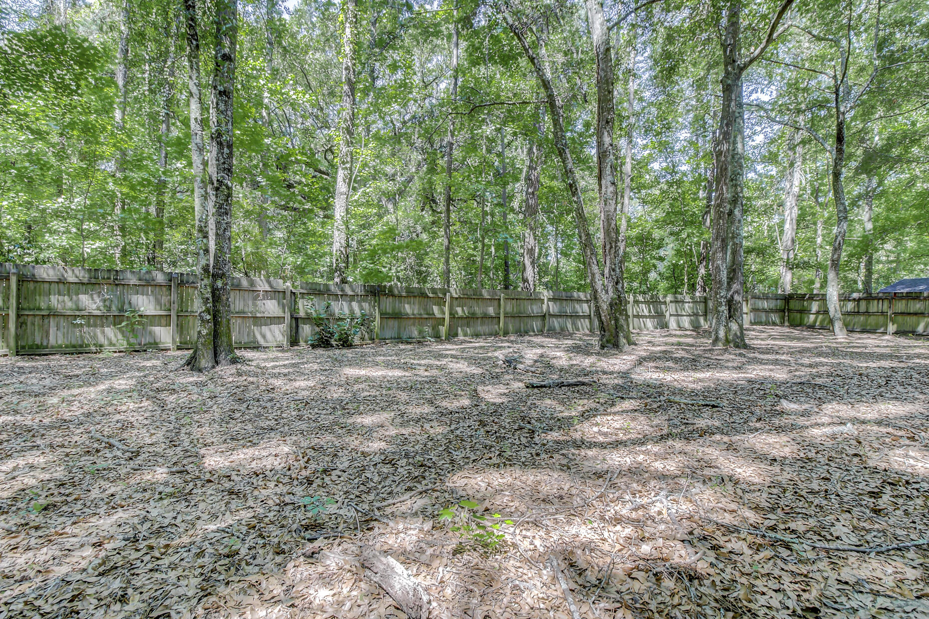 3631 Woodscape Court