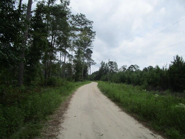 7905 Morris Bing Road, Hollywood