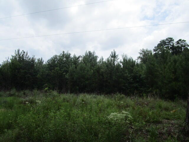 7905 Morris Bing Road, Hollywood