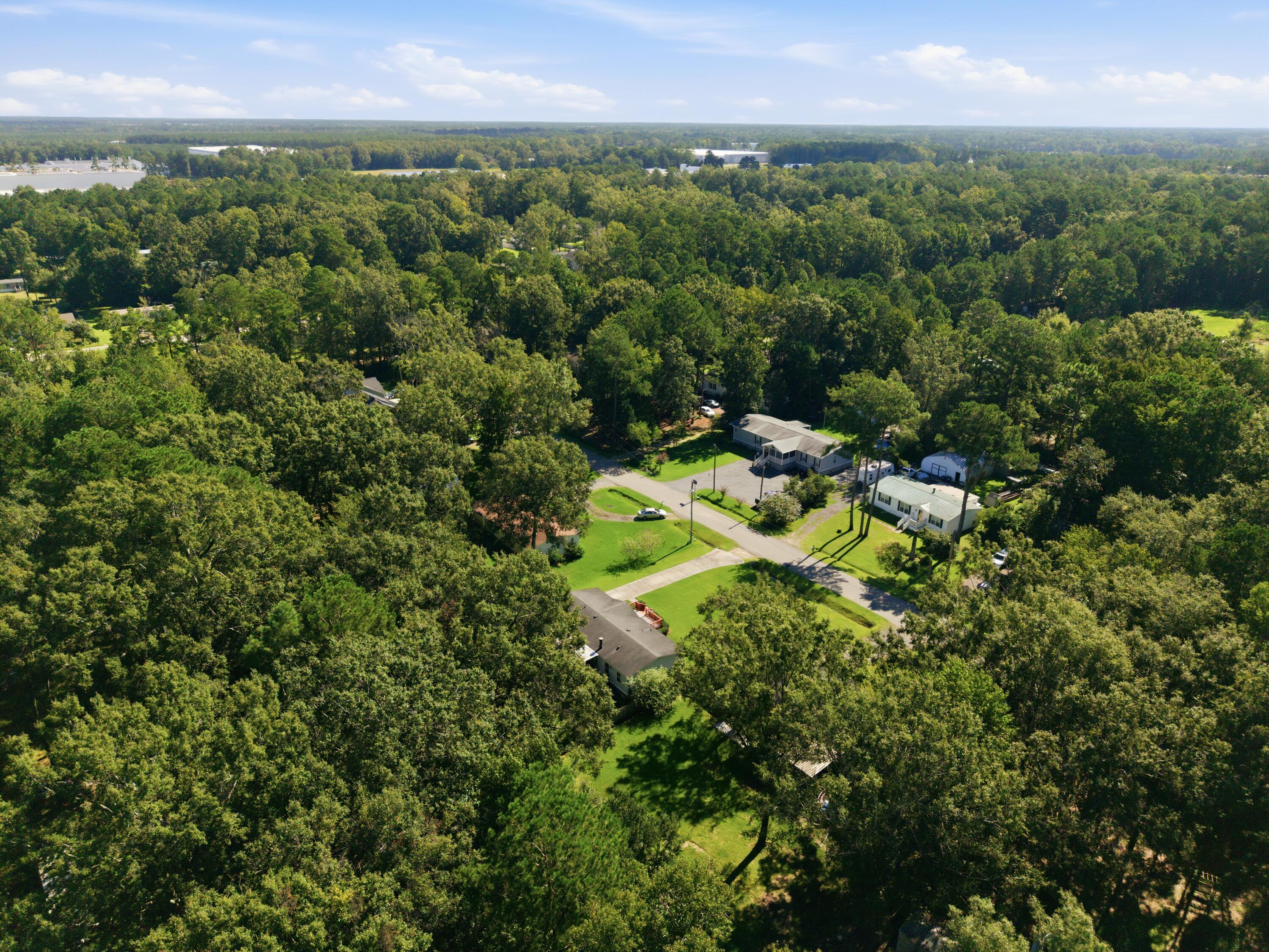 Aerial view of homes along a road surrounded by dense green trees.
