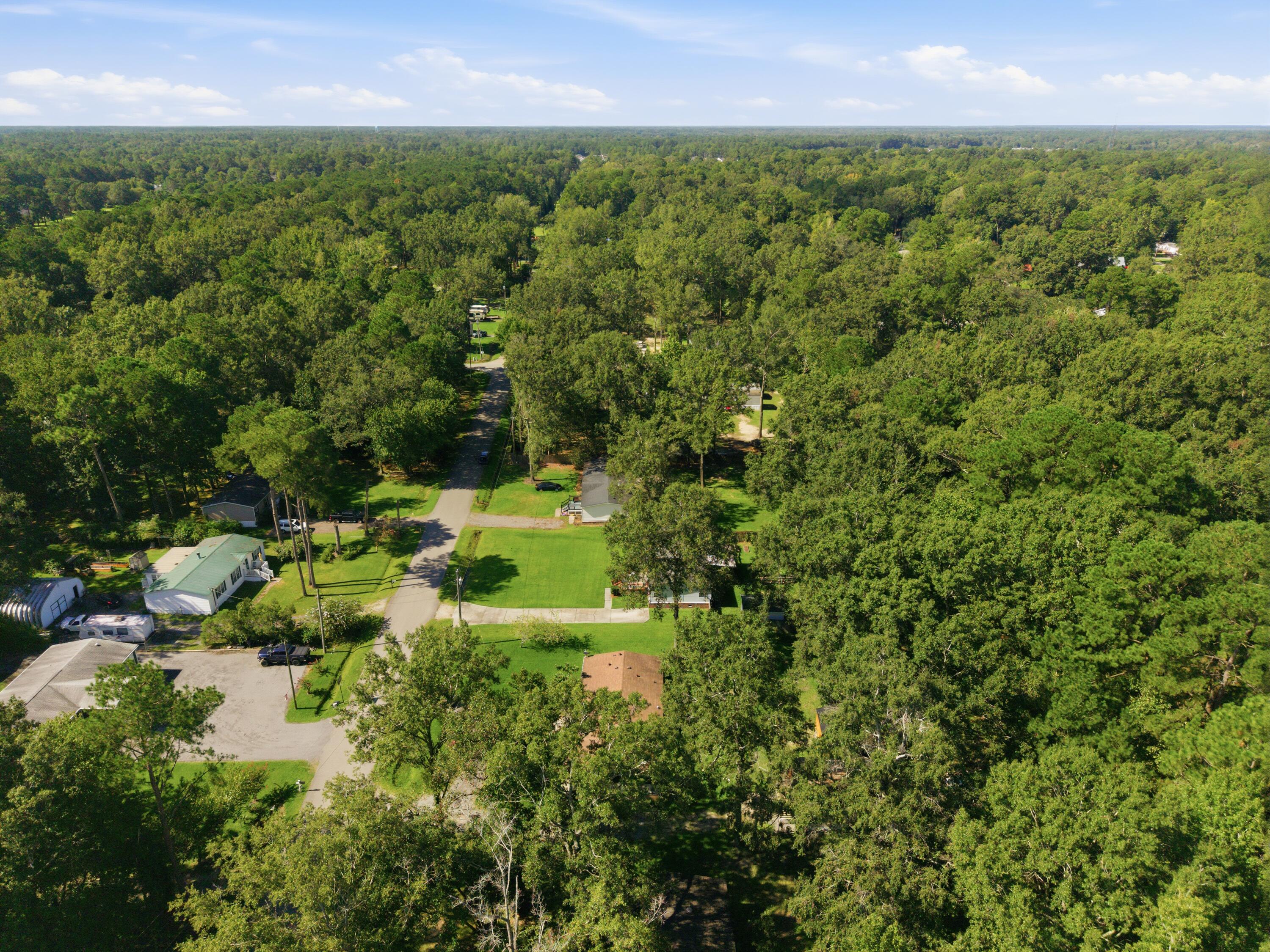 Aerial view of homes and a road surrounded by dense trees.