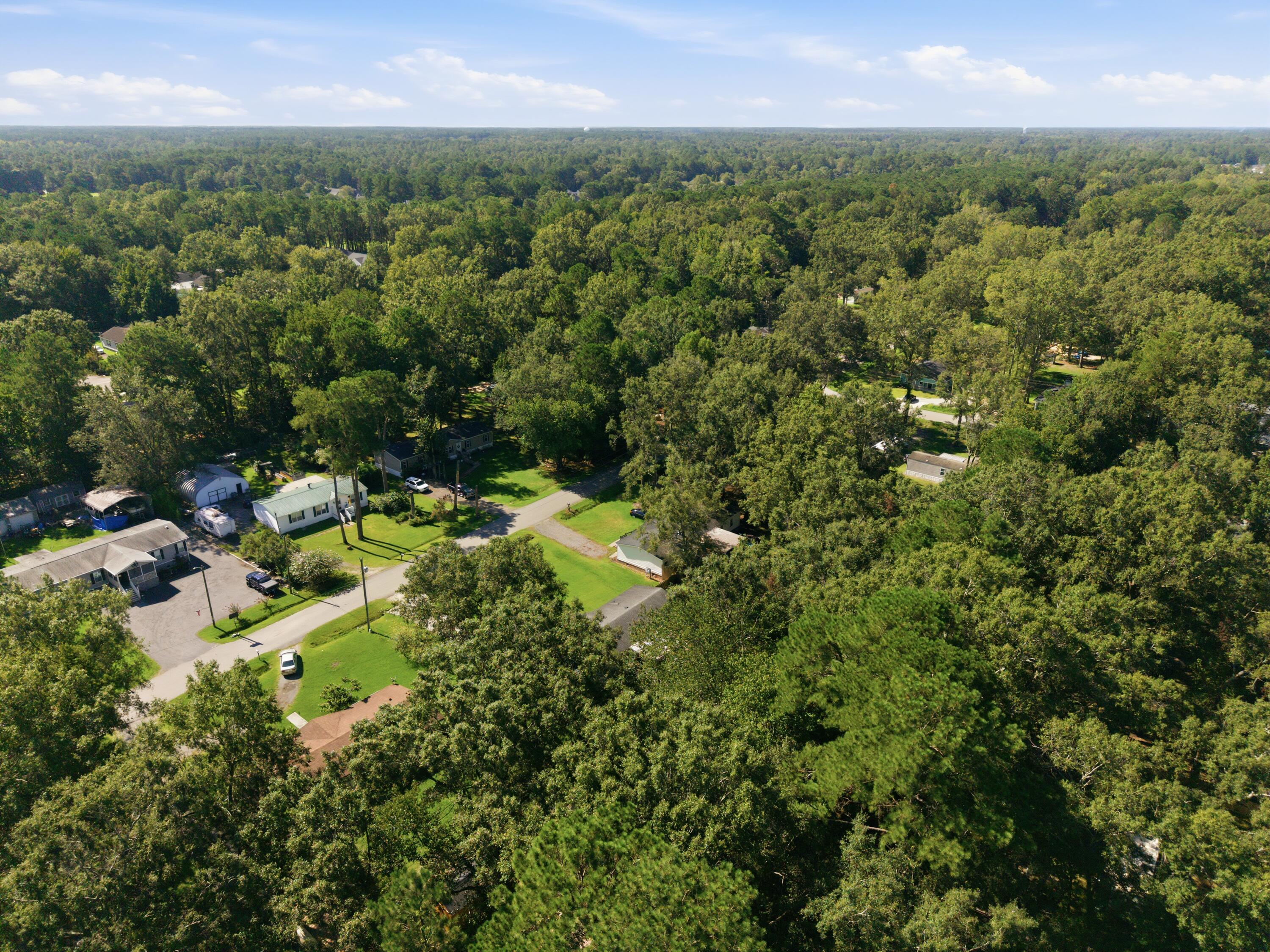 Aerial view of a wooded residential neighborhood with scattered homes and curving roads.