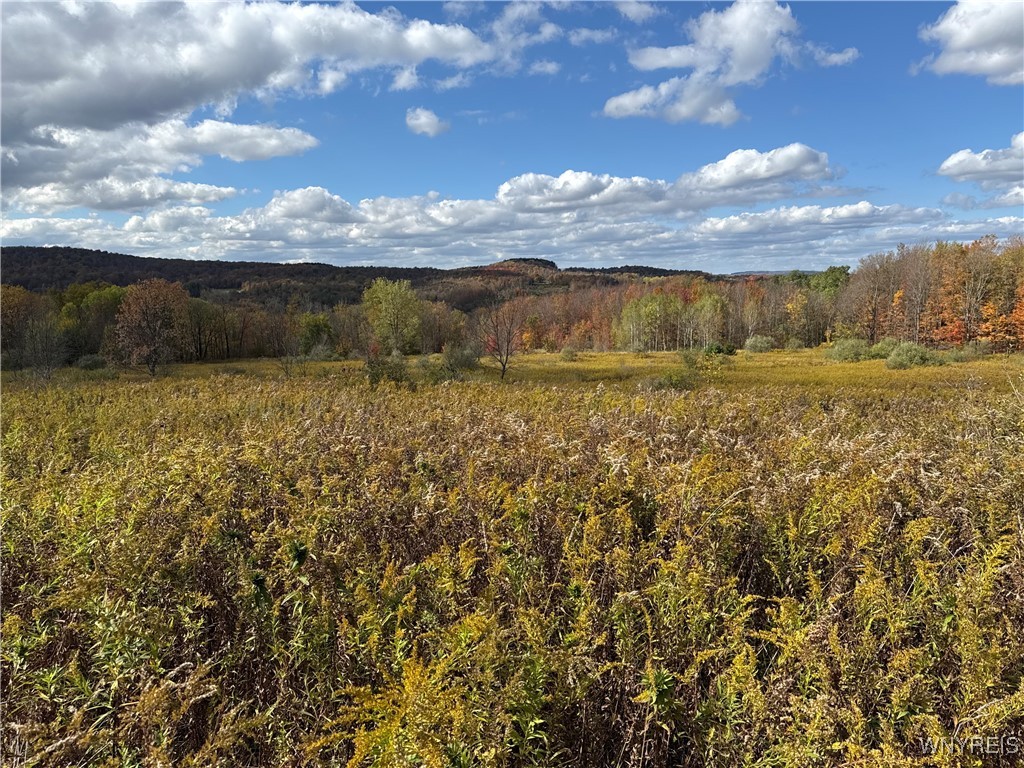 California Hill Road