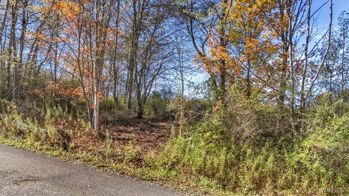 California Hill Road