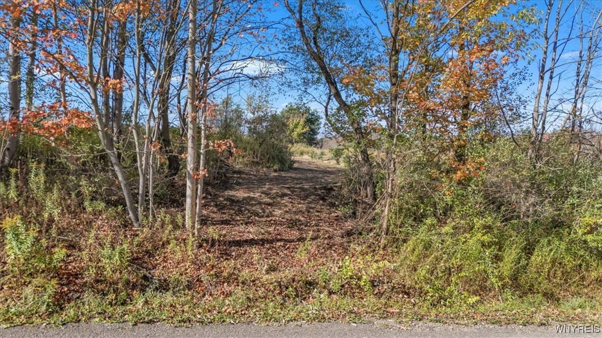 California Hill Road