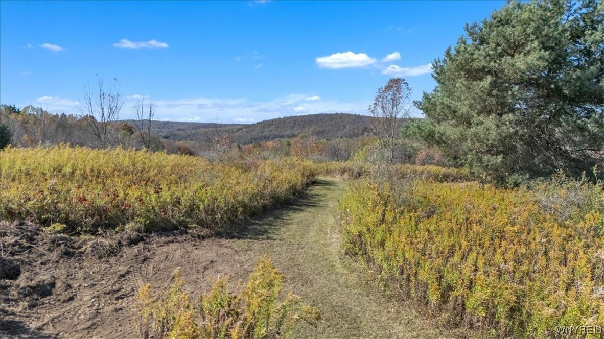 California Hill Road