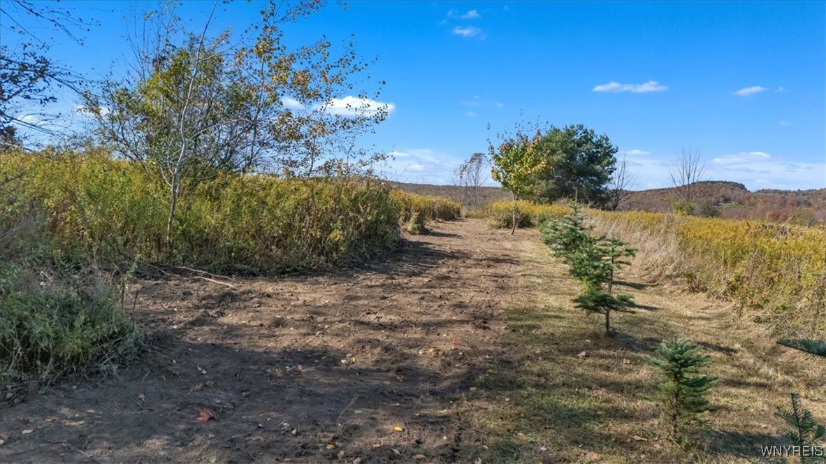 California Hill Road
