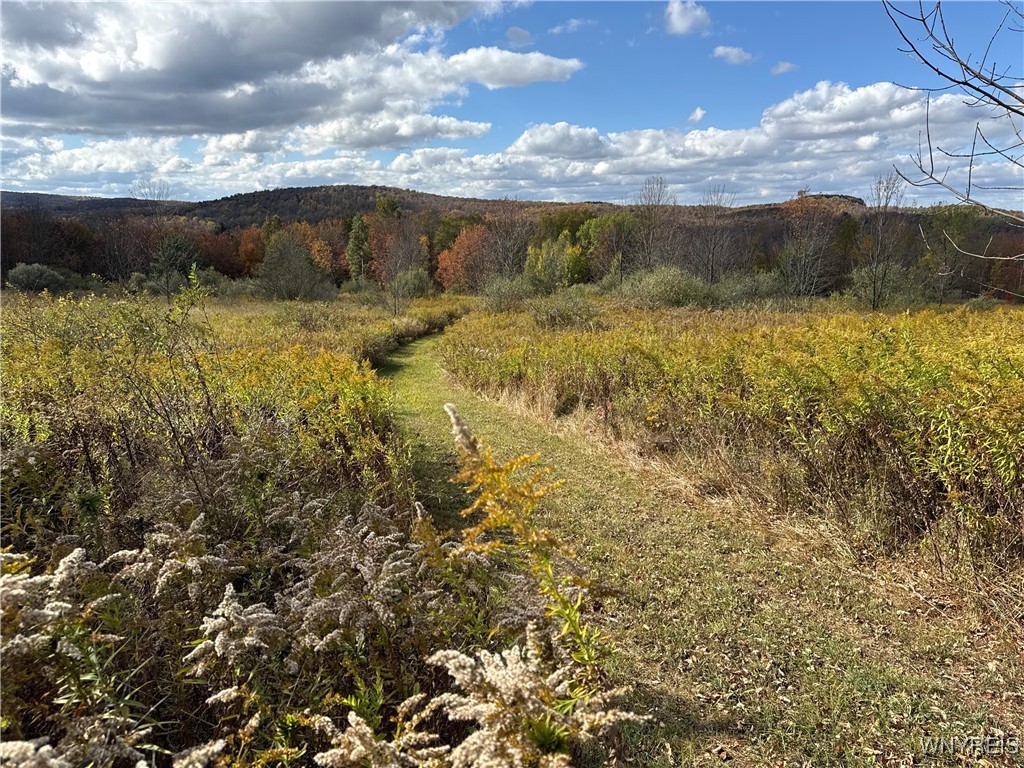 California Hill Road