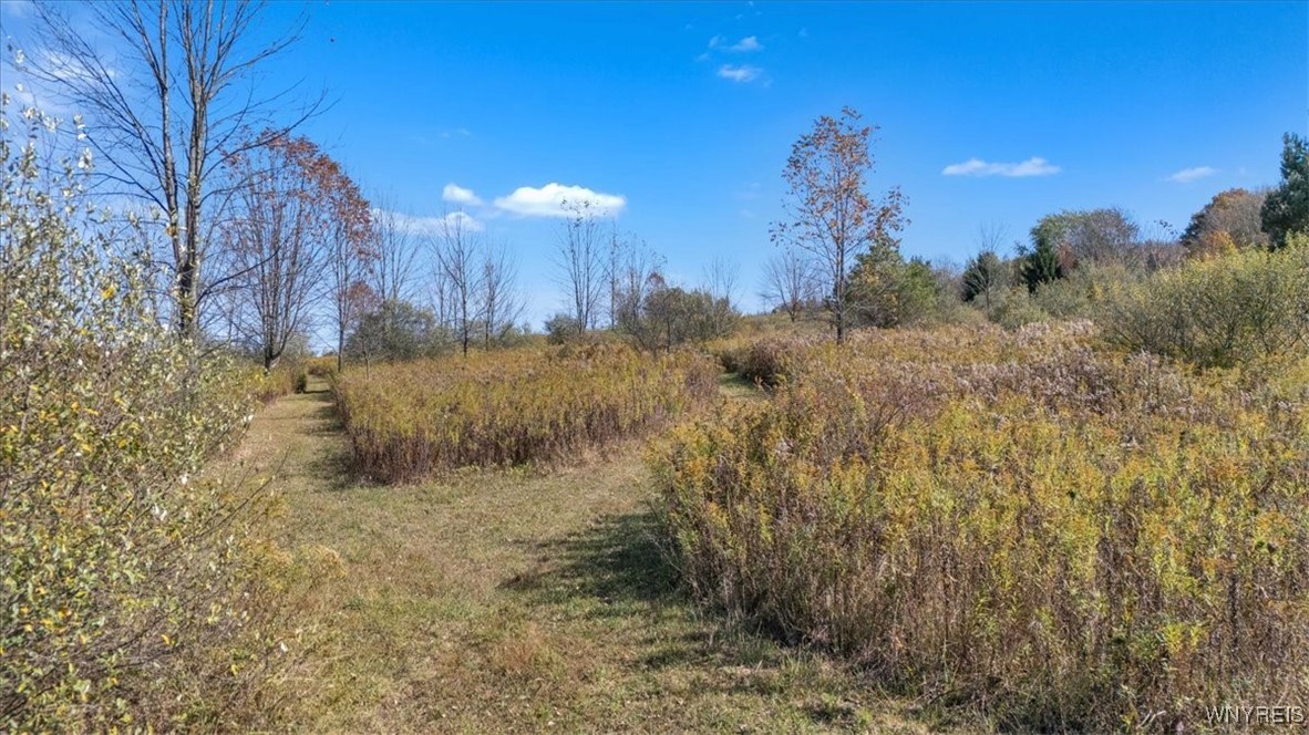 California Hill Road