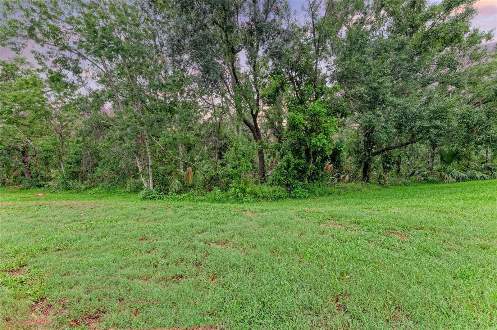12175 MAPLE RIDGE DR