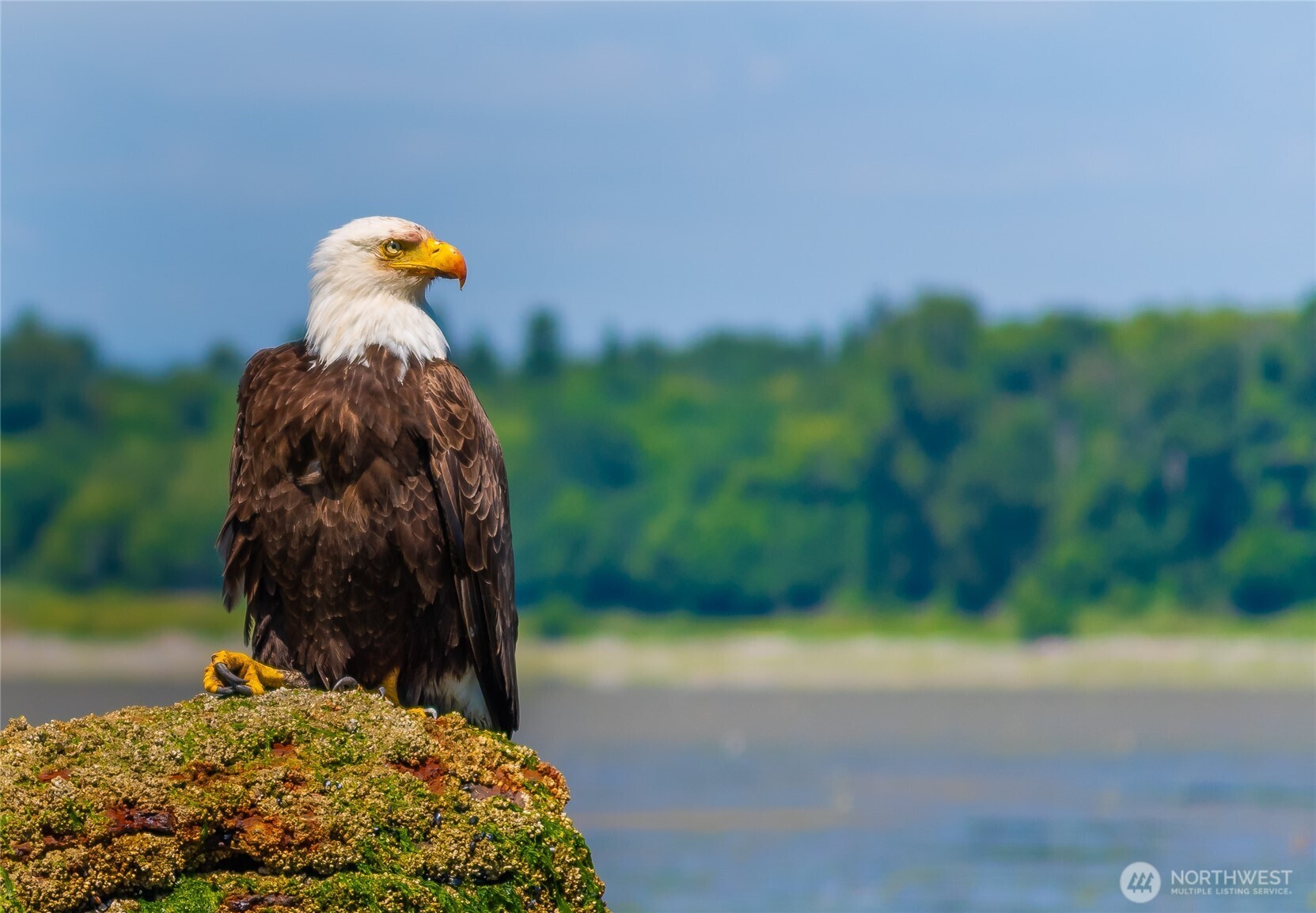 9525 Semiahmoo Parkway Unit: A204