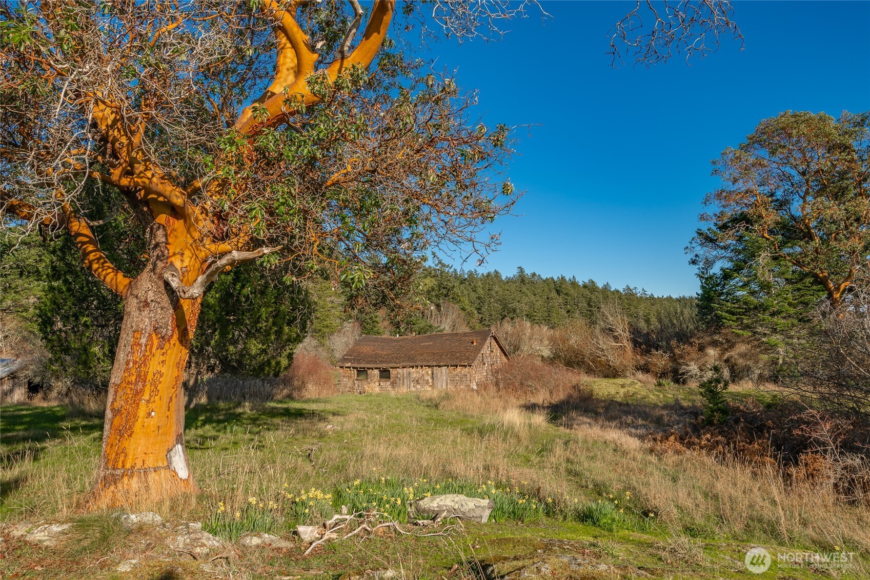 1014 Ben Nevis Loop