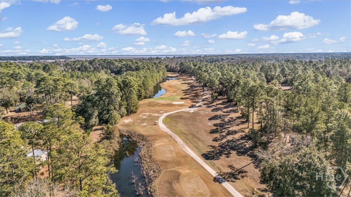 7272 Shellman Bluff Road NE 17