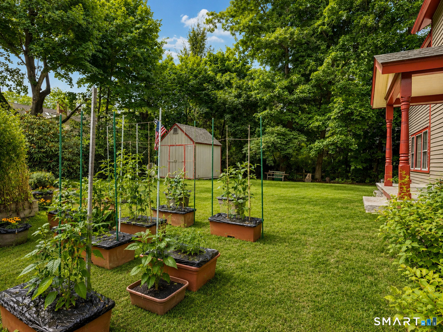Backyard garden beds and vegetable plants beside a grassy lawn, shed, and red-trimmed porch.