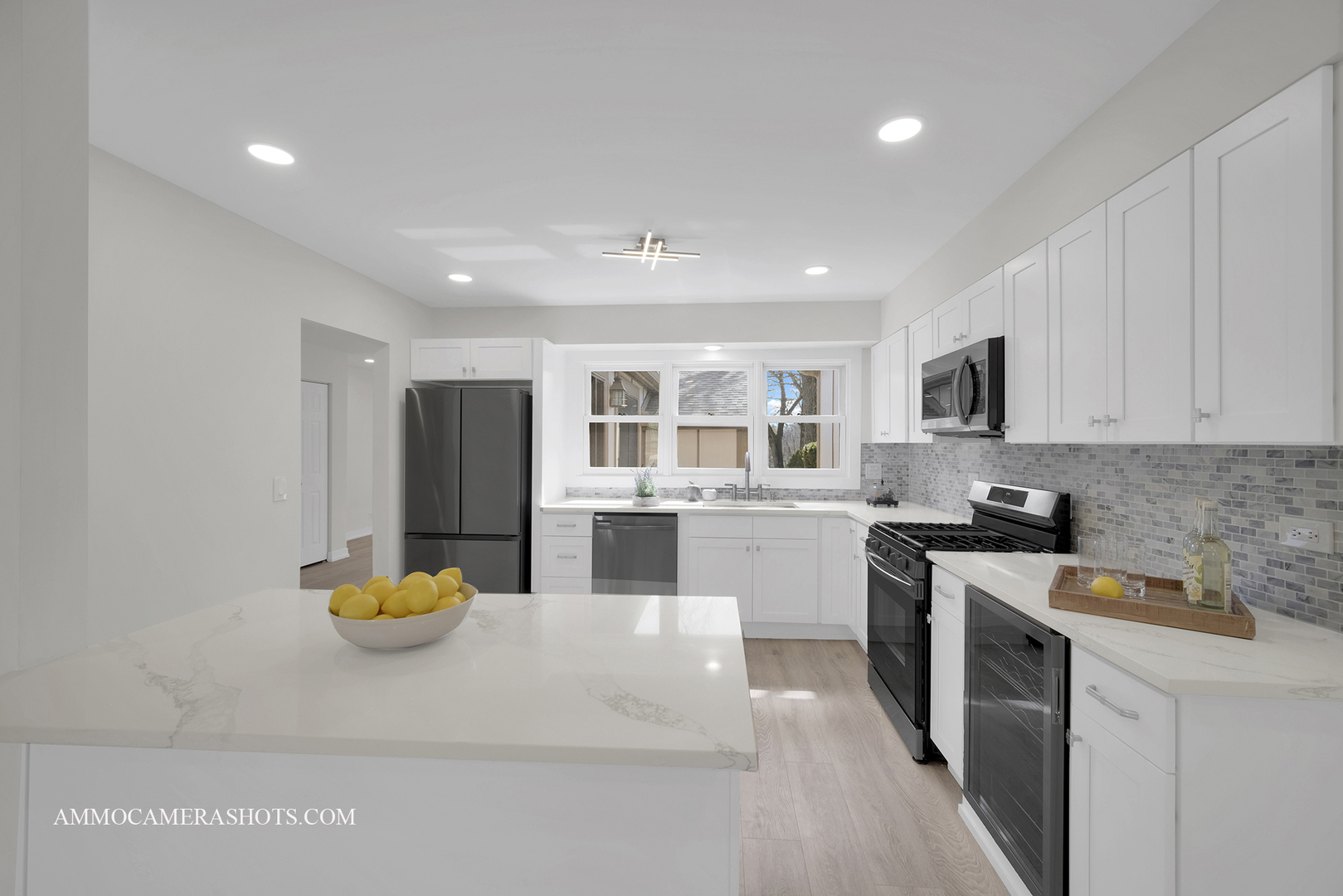 1117 Wheaton Oaks Drive