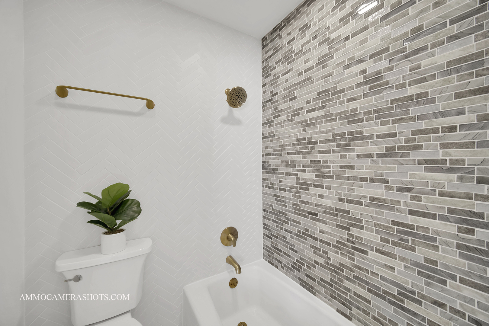 1117 Wheaton Oaks Drive