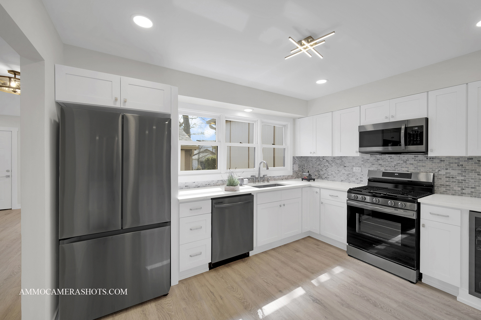 1117 Wheaton Oaks Drive