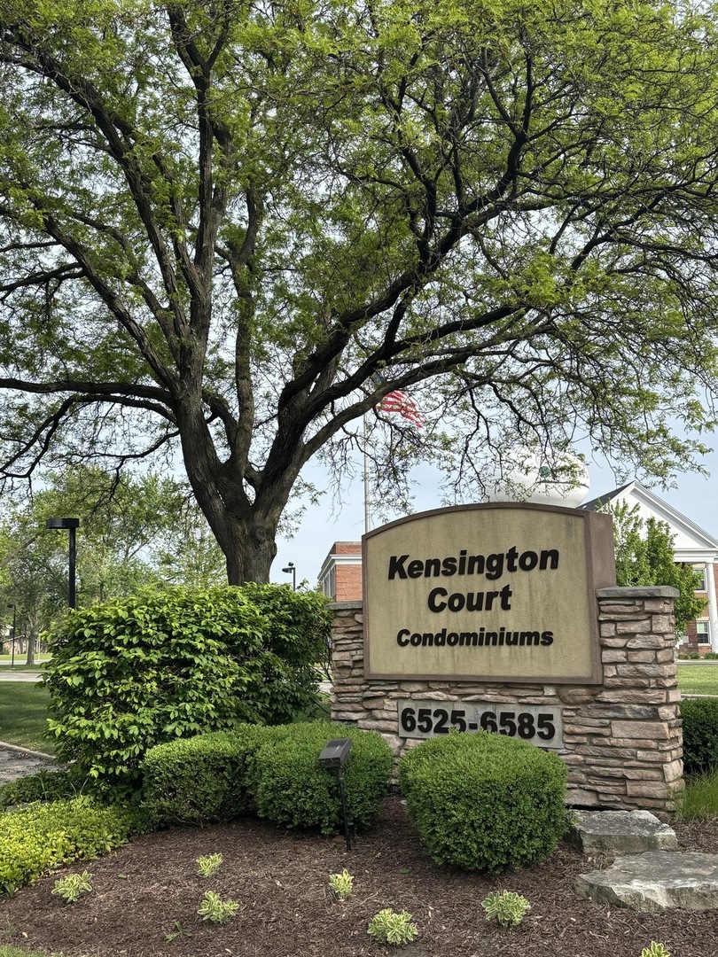 6525 Main Street Unit: 204