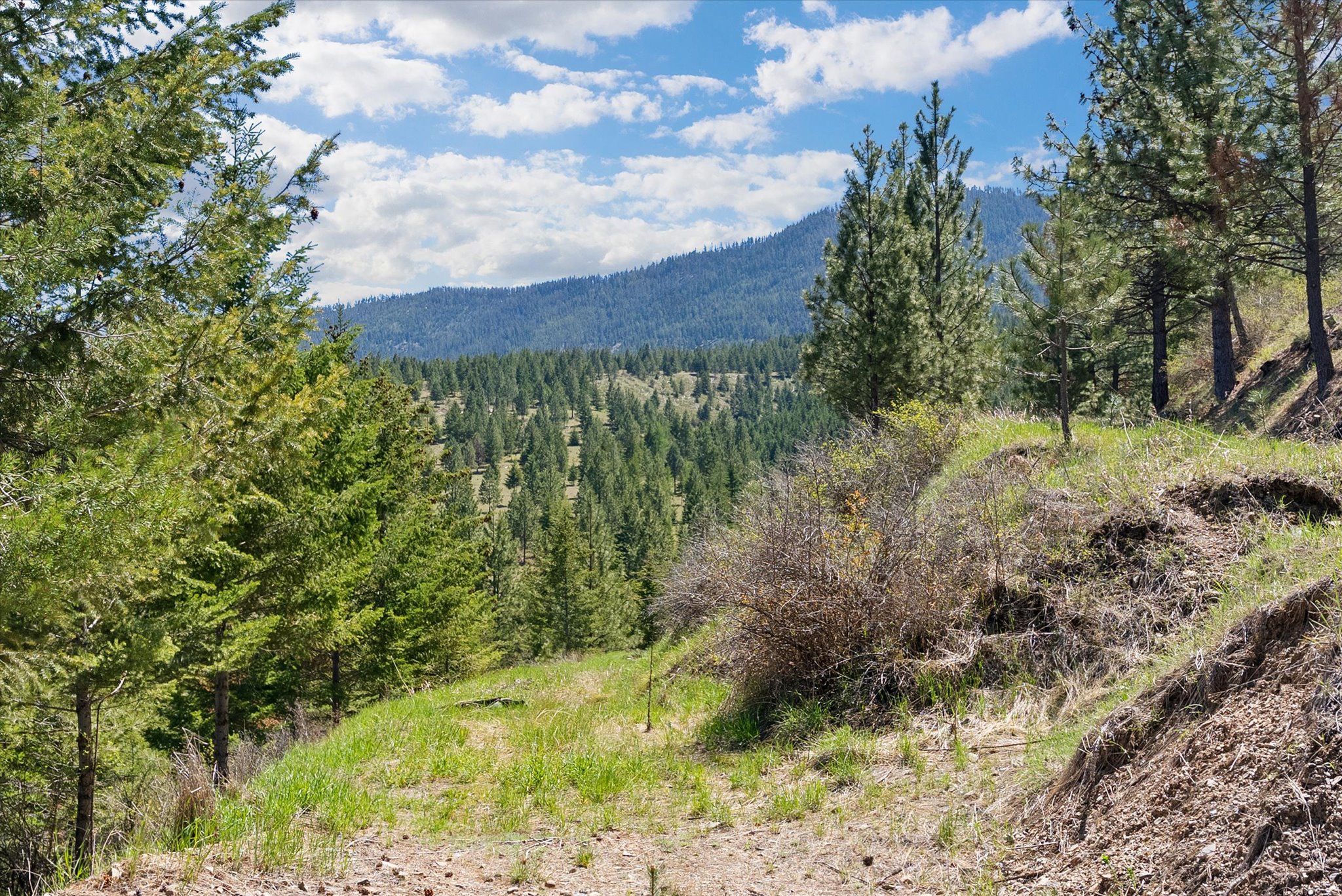 5016 Arnica Road