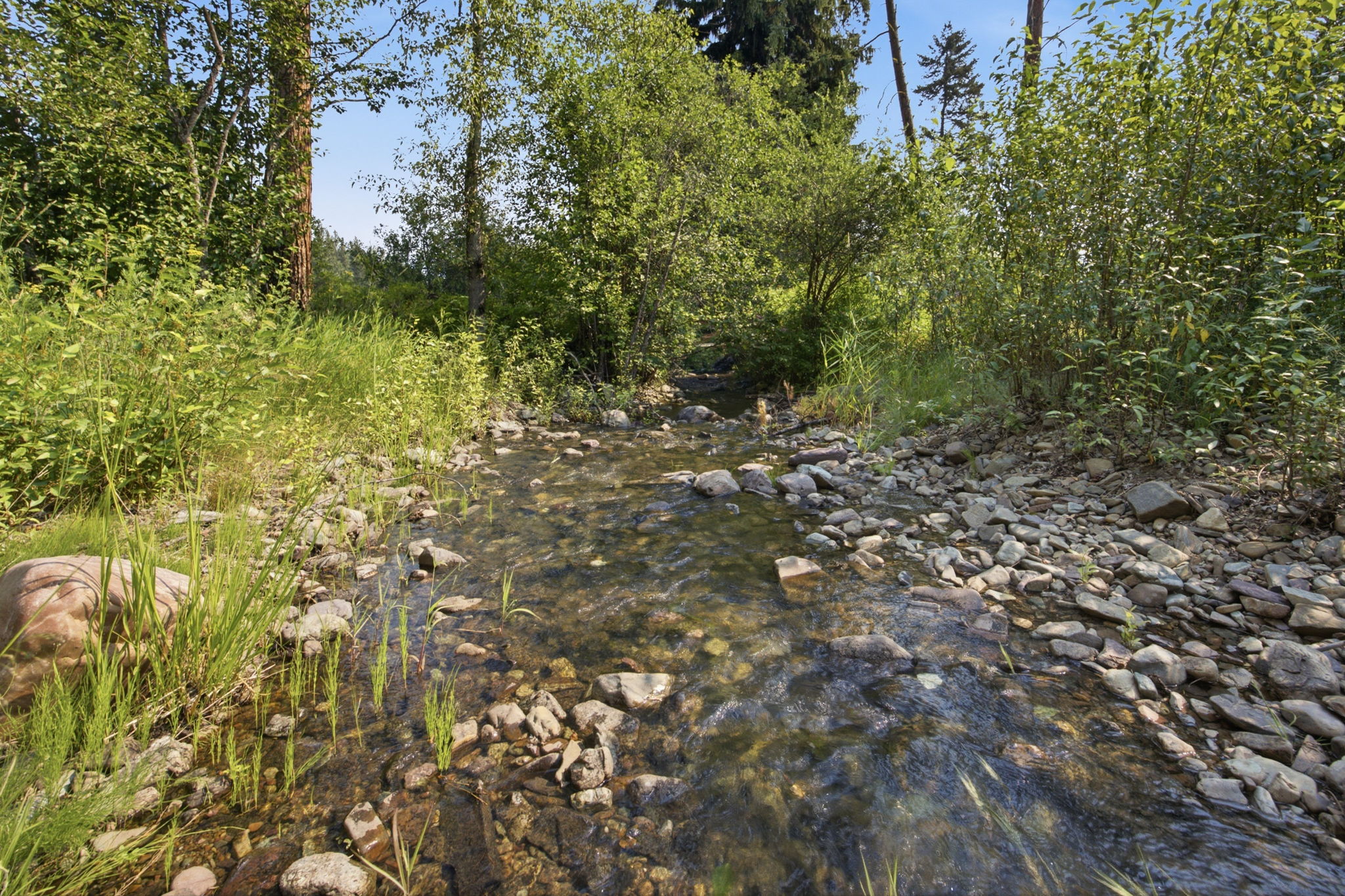 34500 Cedar Creek Road