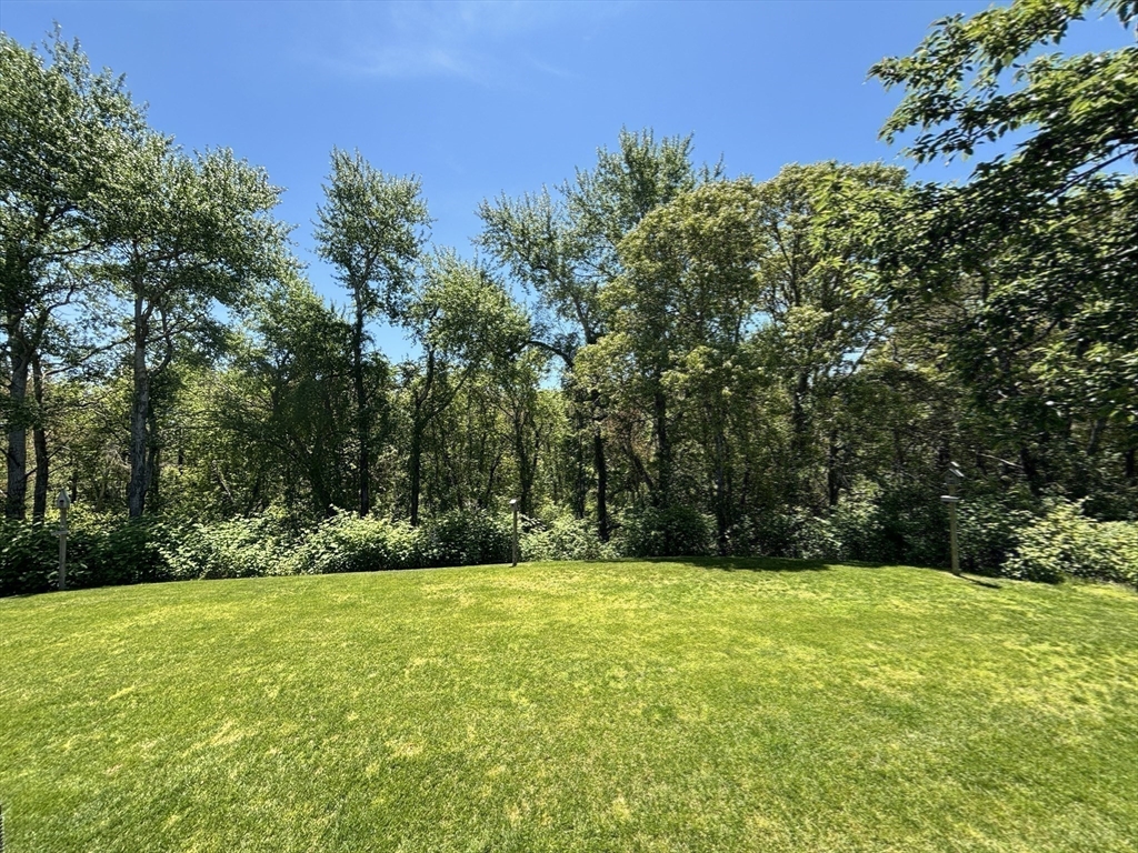 371 Cedar Street