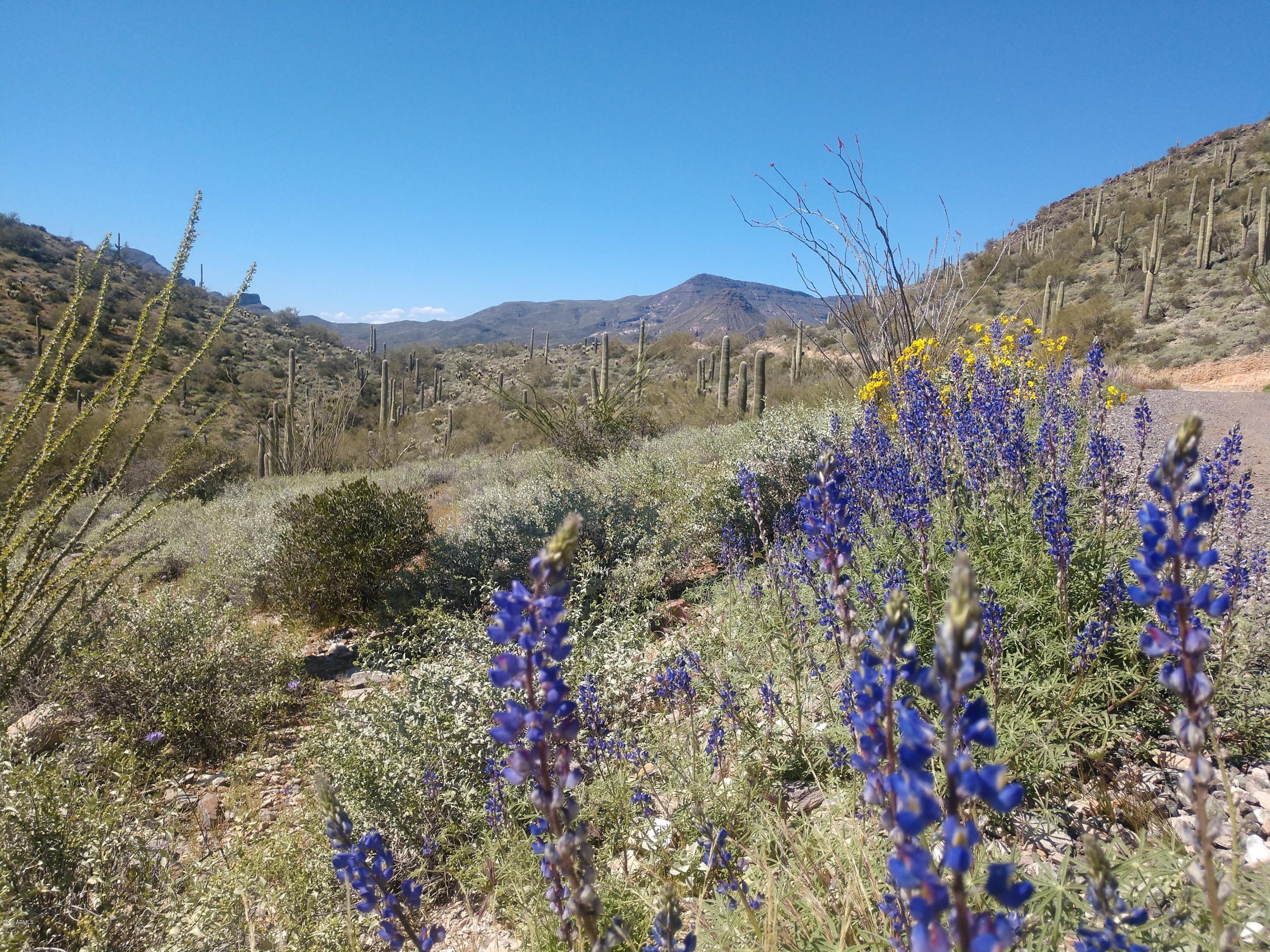 43540 N Cottonwood Canyon Road .-