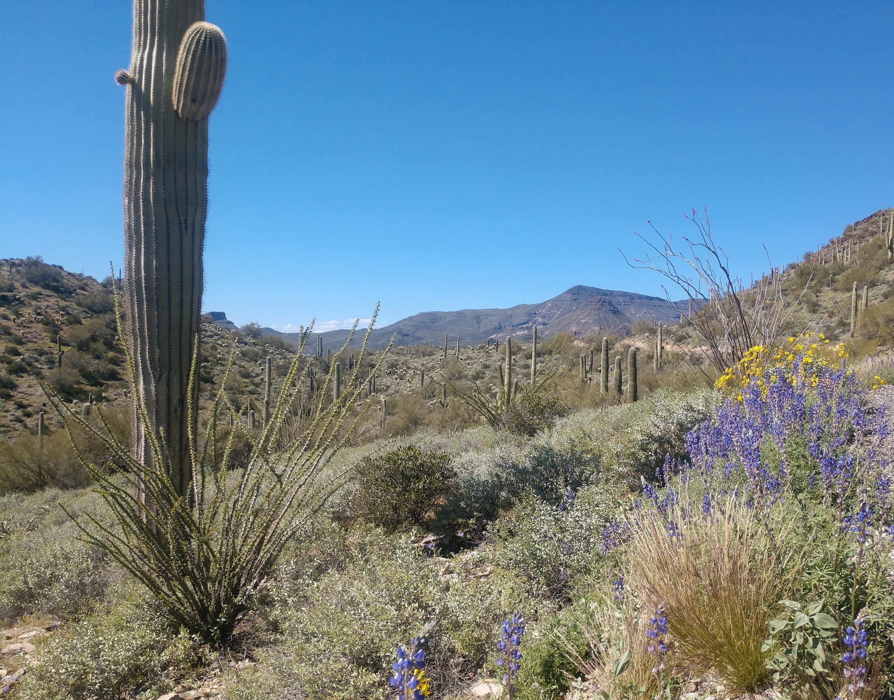 43540 N Cottonwood Canyon Road .-