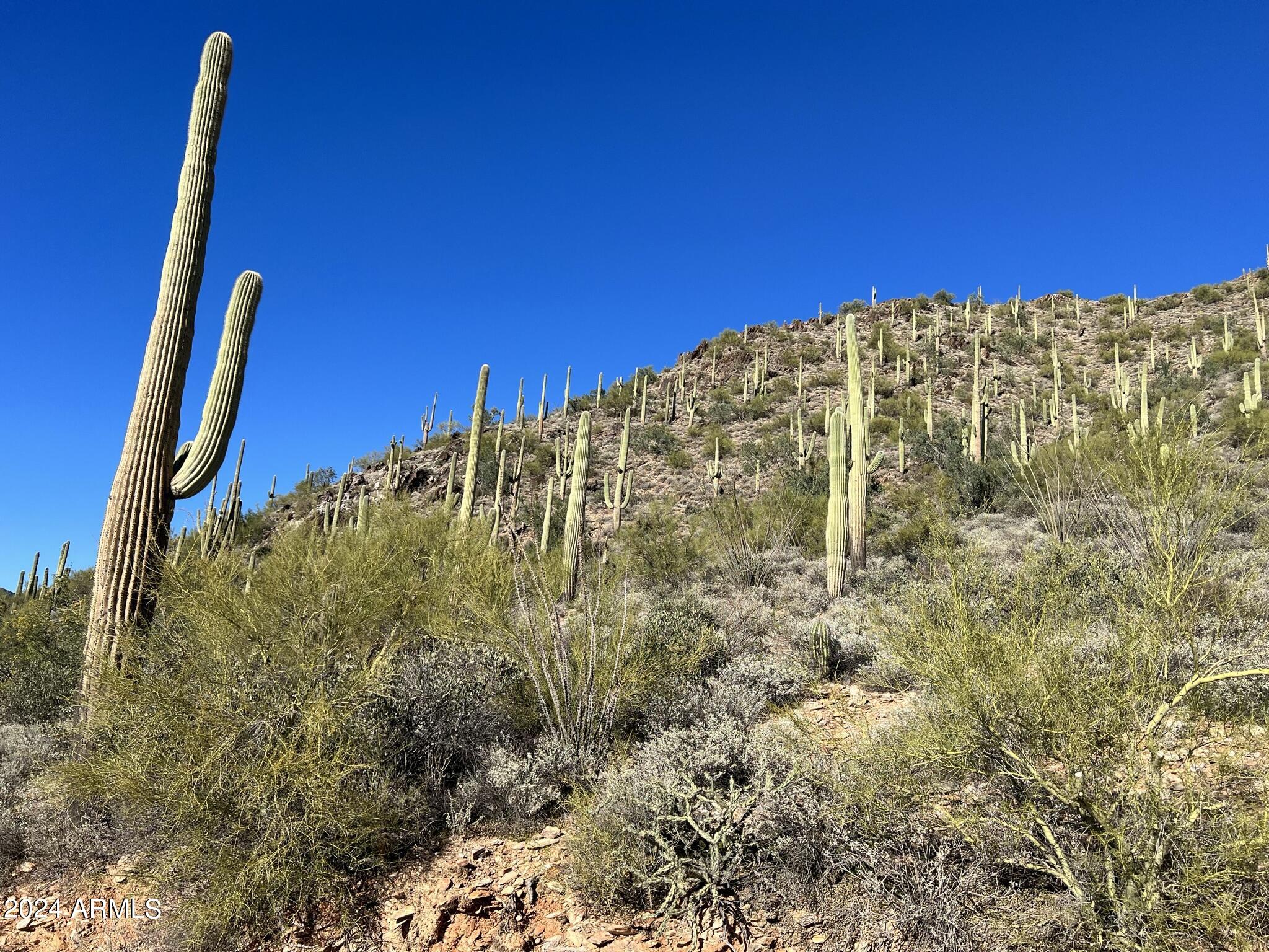 4490X N Cottonwood Canyon Road, -