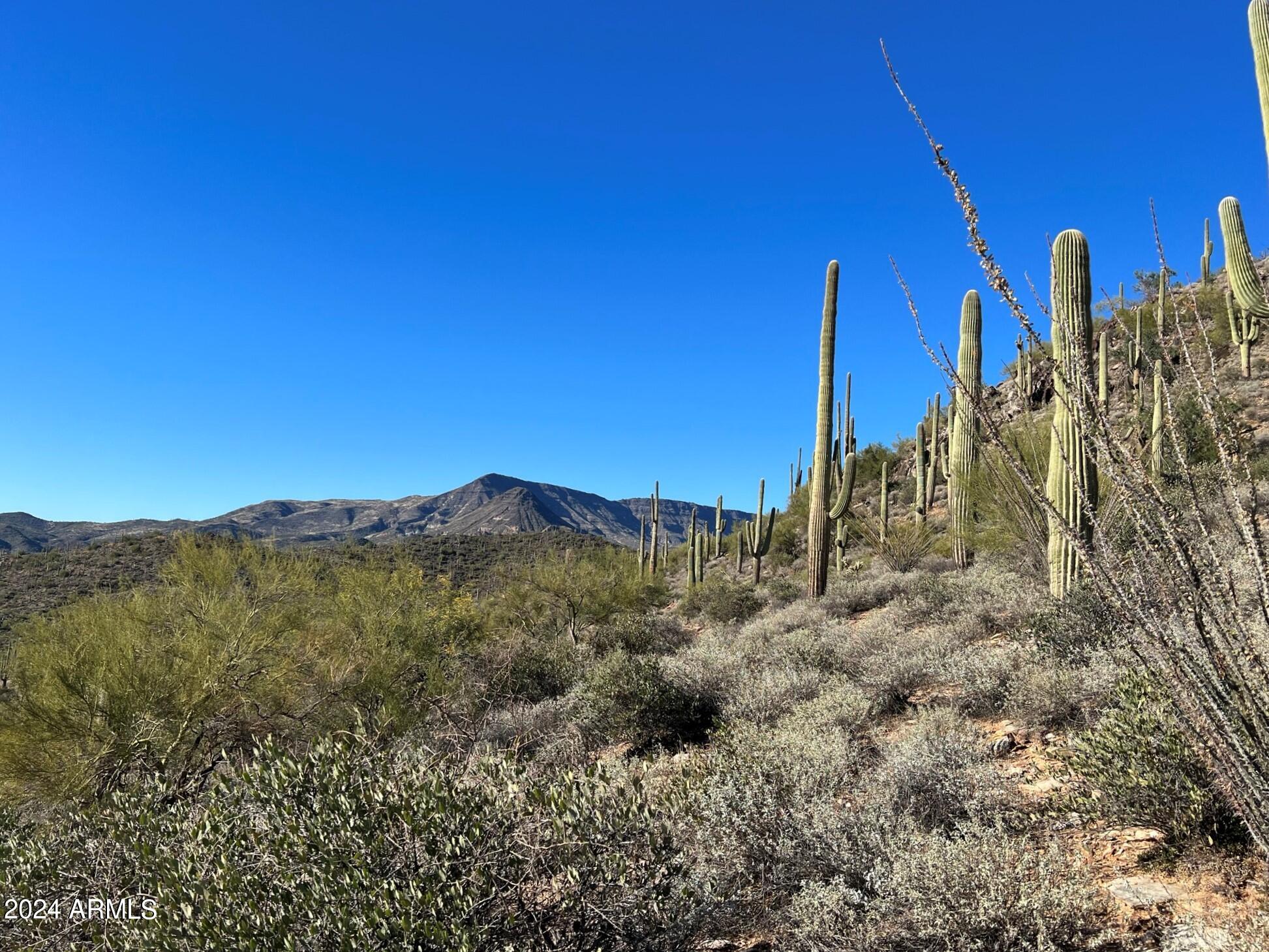 4490X N Cottonwood Canyon Road, -