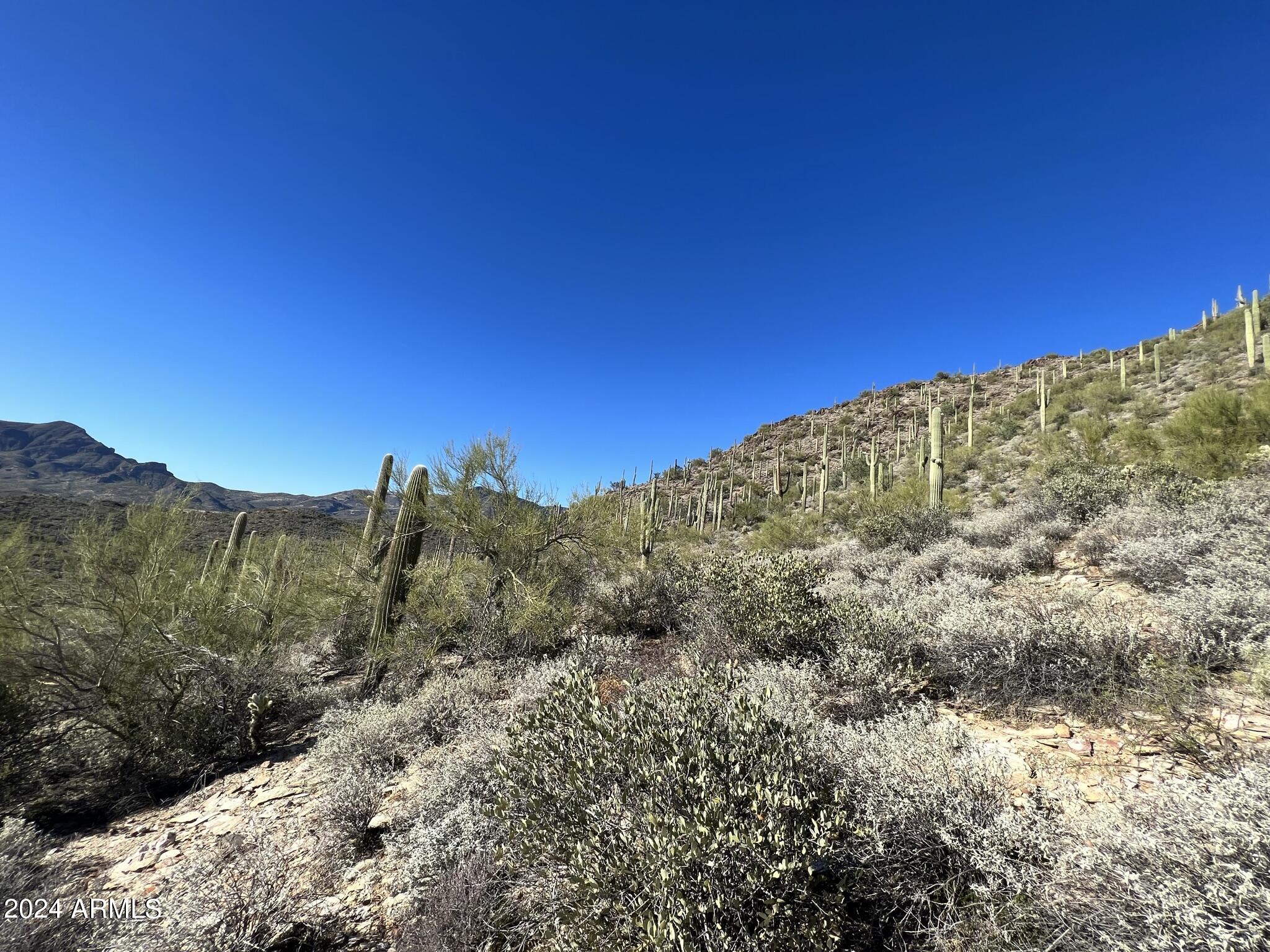 4490X N Cottonwood Canyon Road, -