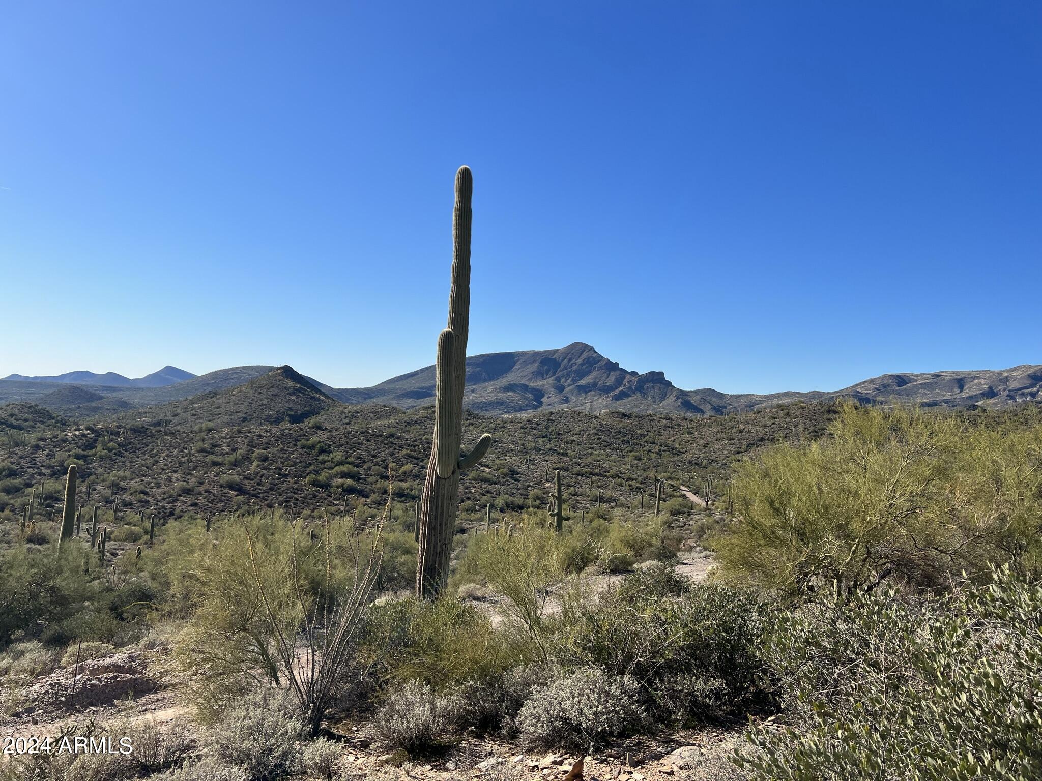 4490X N Cottonwood Canyon Road, -