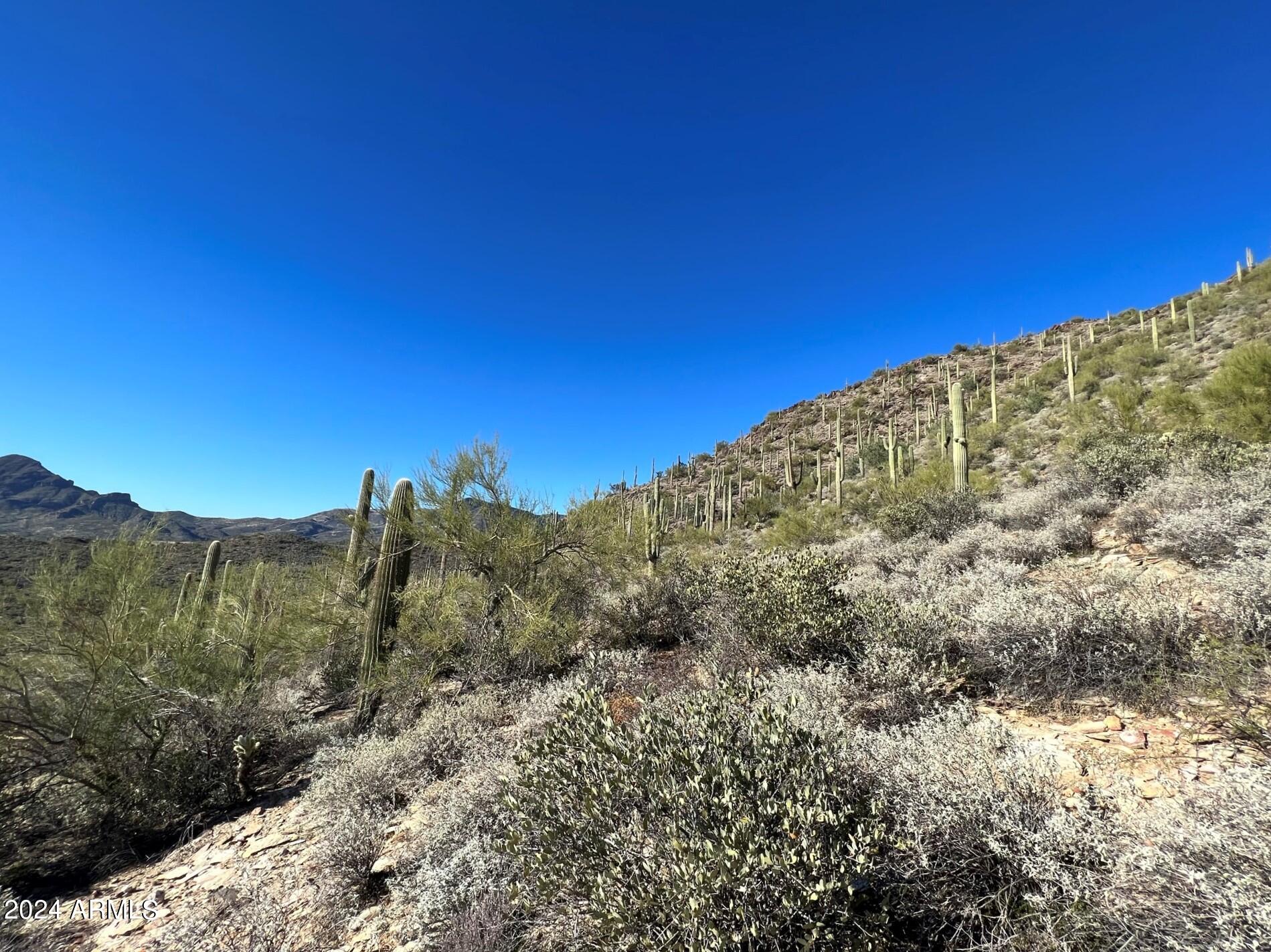 4490X N Cottonwood Canyon Road, -