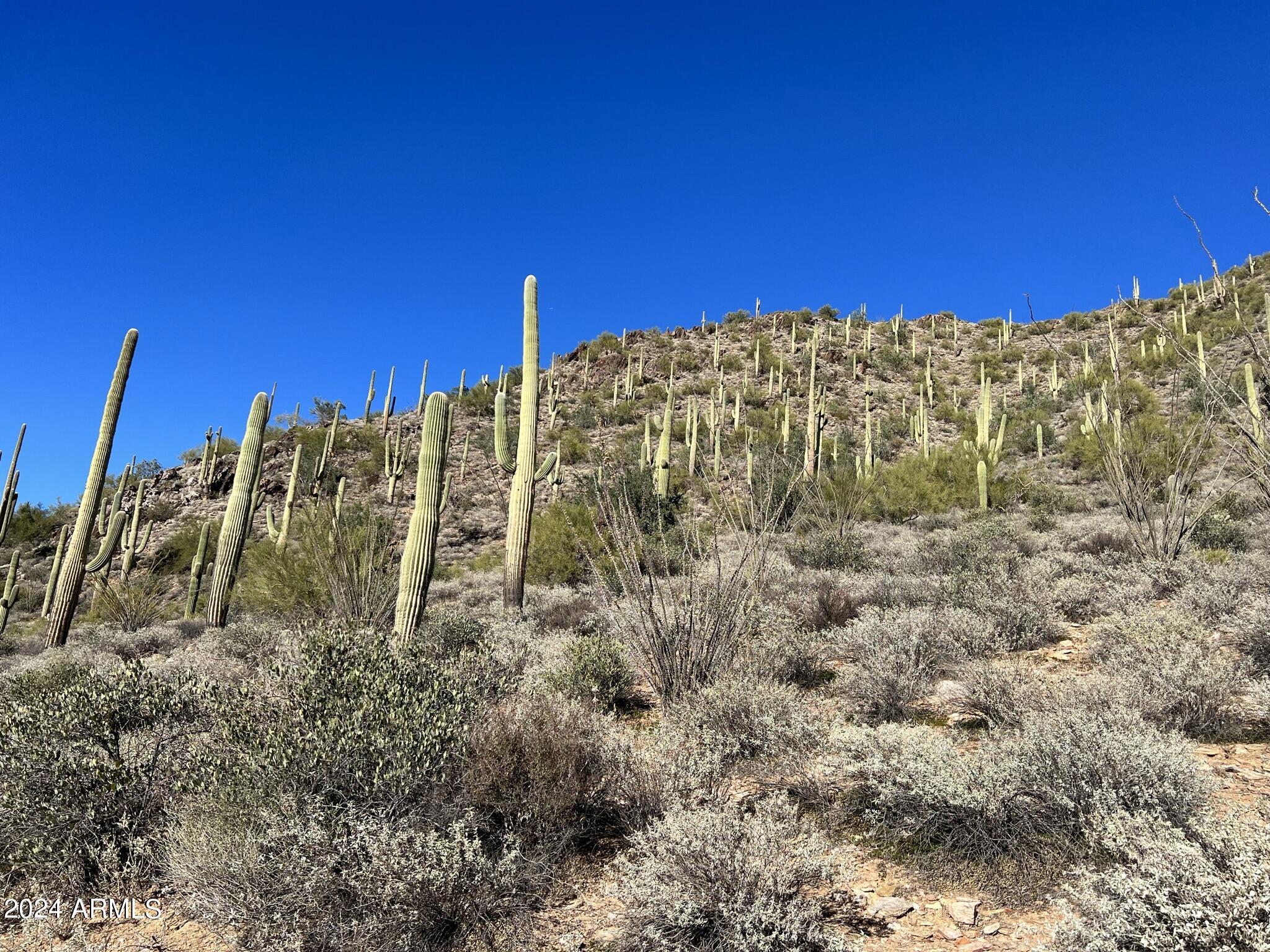 4490X N Cottonwood Canyon Road, -