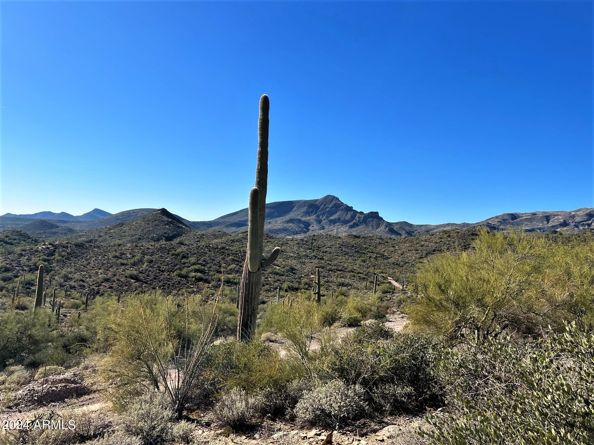 4490X N Cottonwood Canyon Road, -