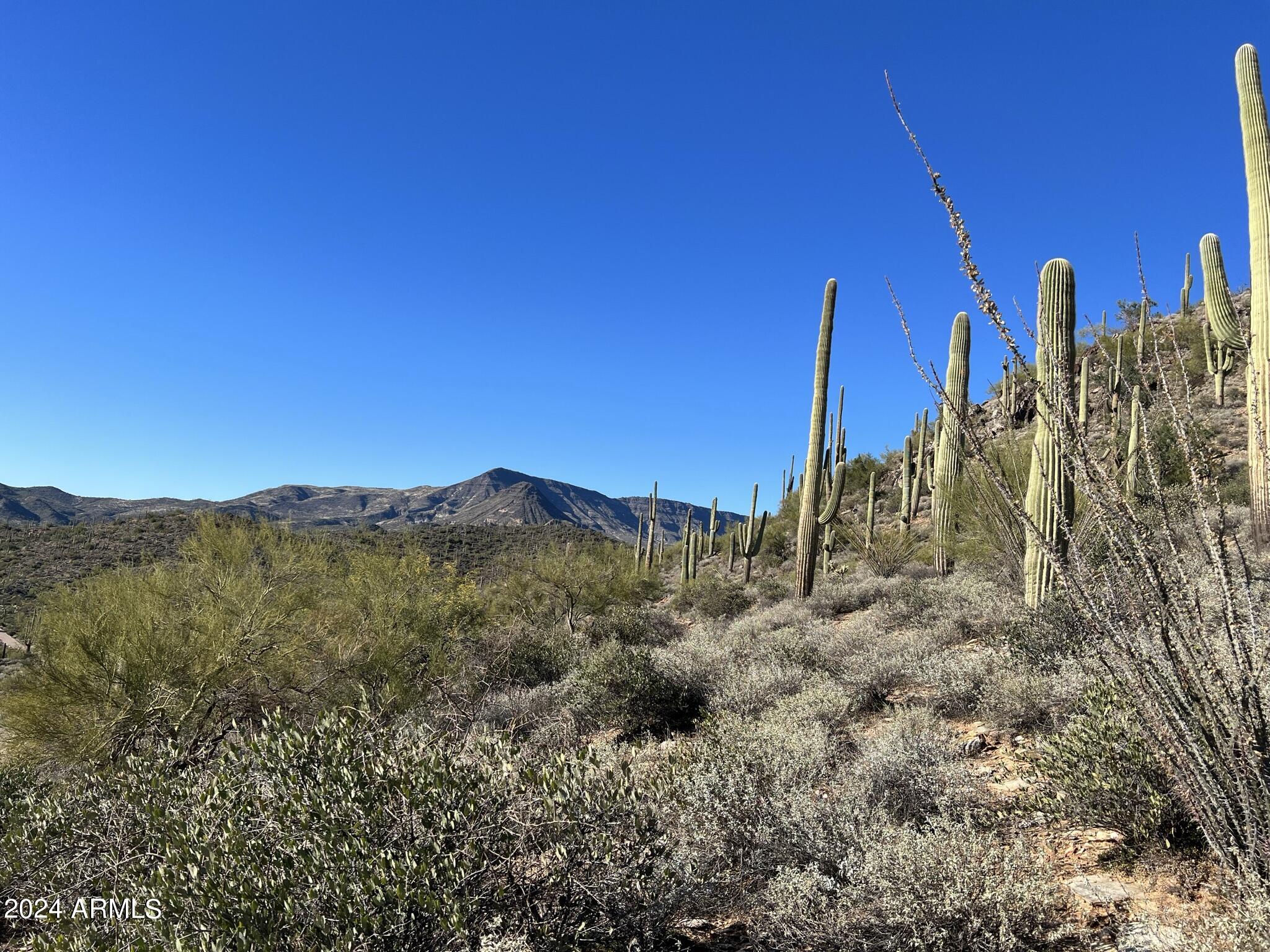 4490X N Cottonwood Canyon Road, -