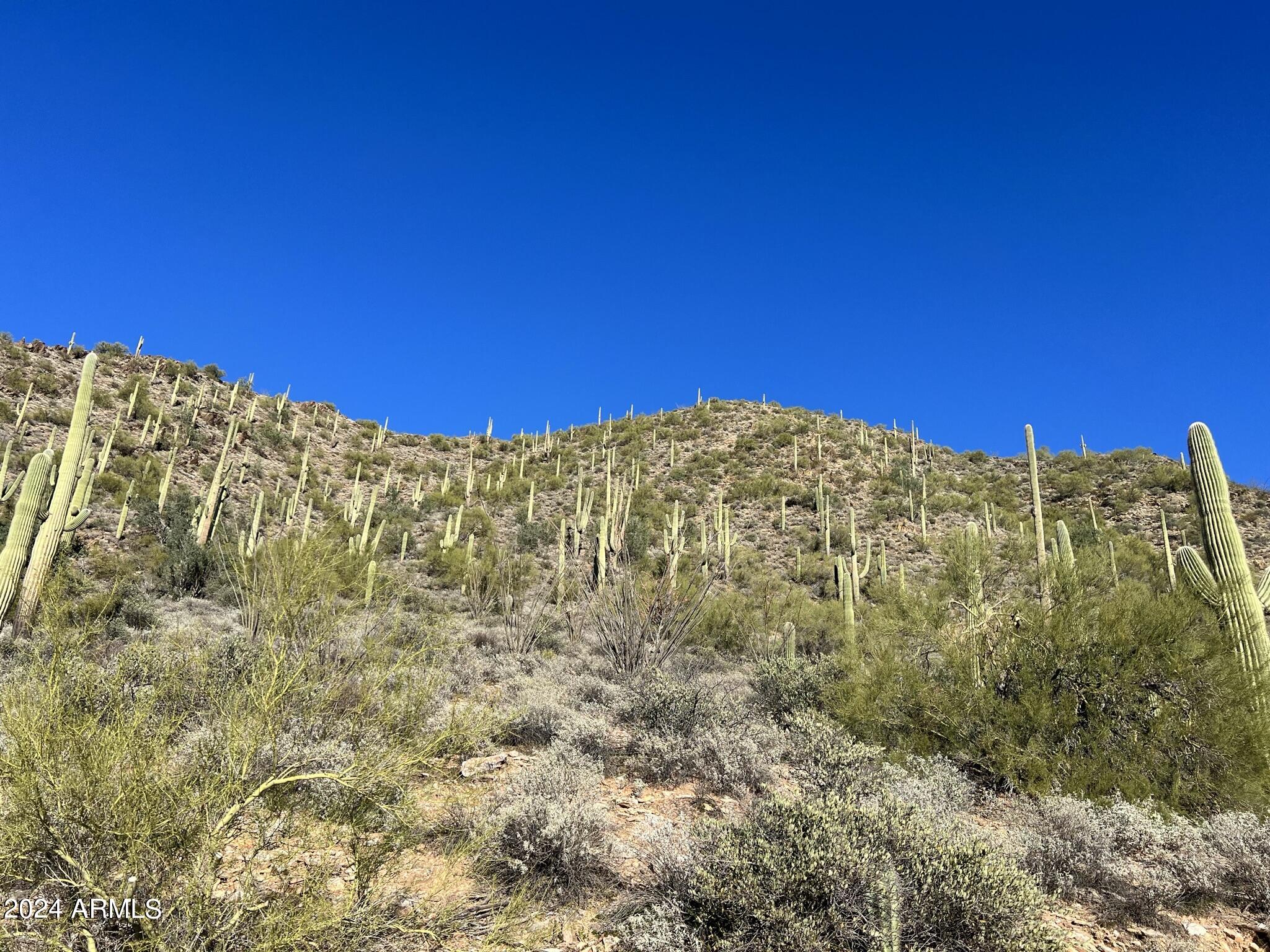 4490X N Cottonwood Canyon Road, -