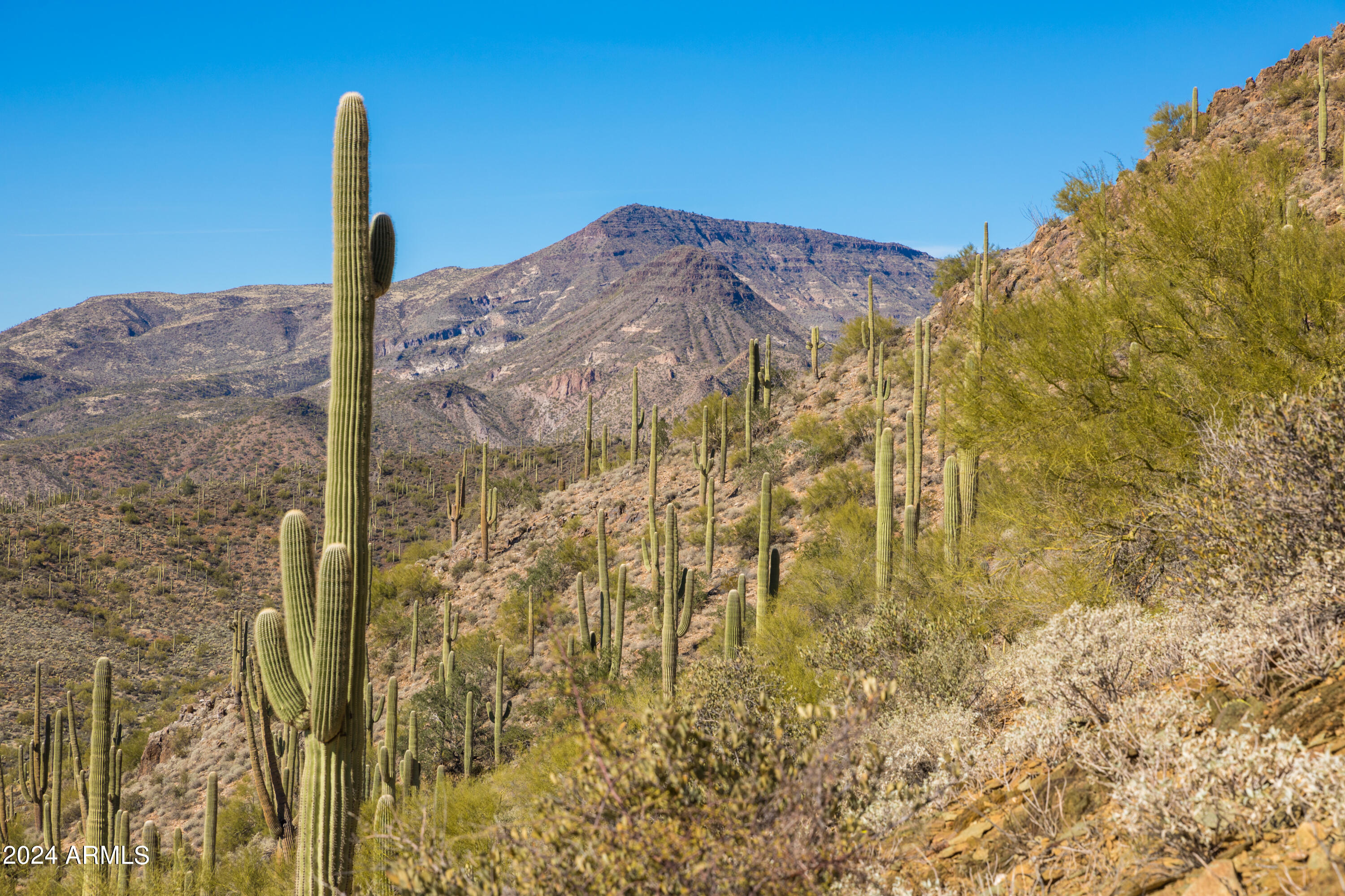 4490X N Cottonwood Canyon Road, -