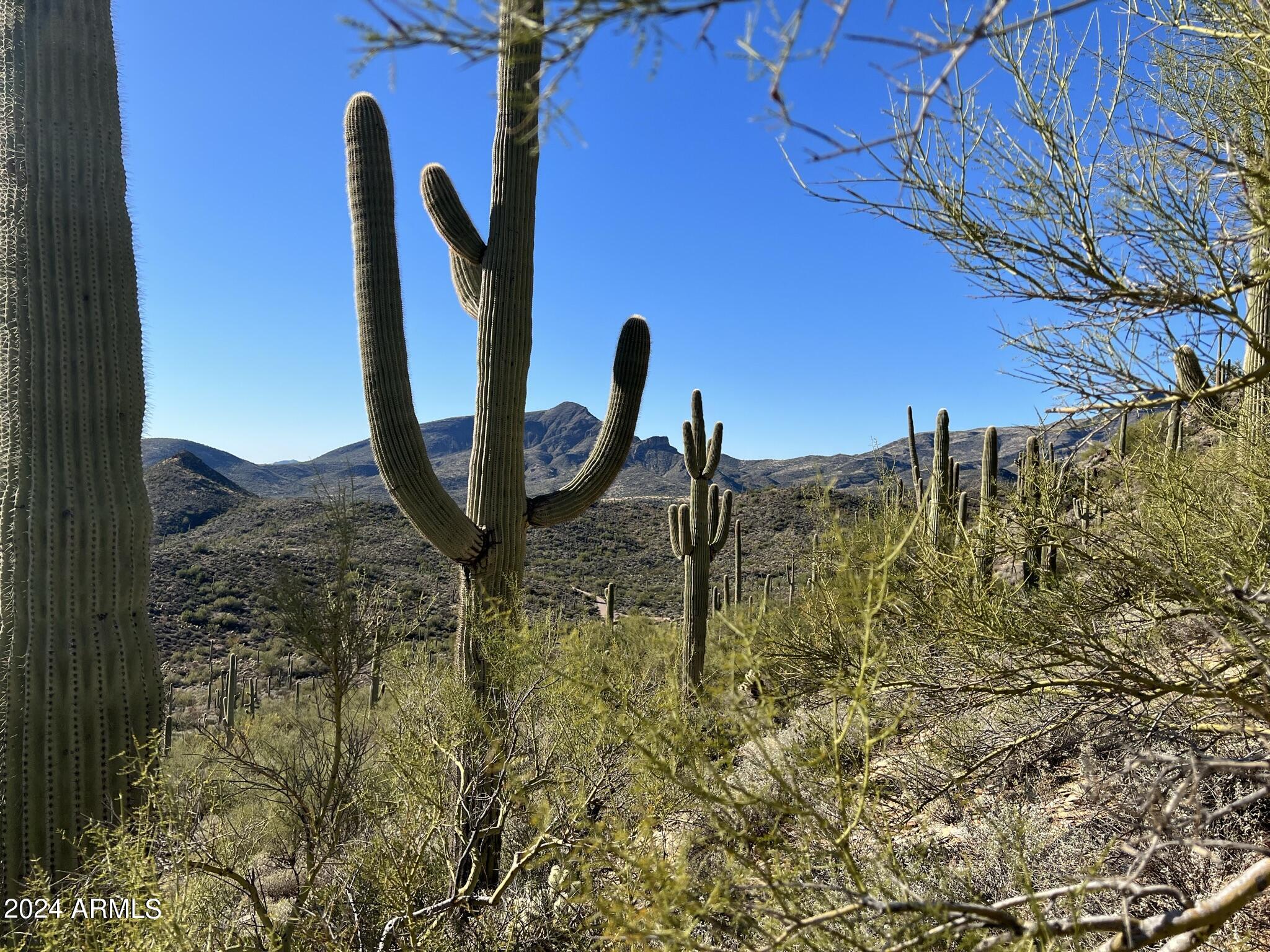 4490X N Cottonwood Canyon Road, -