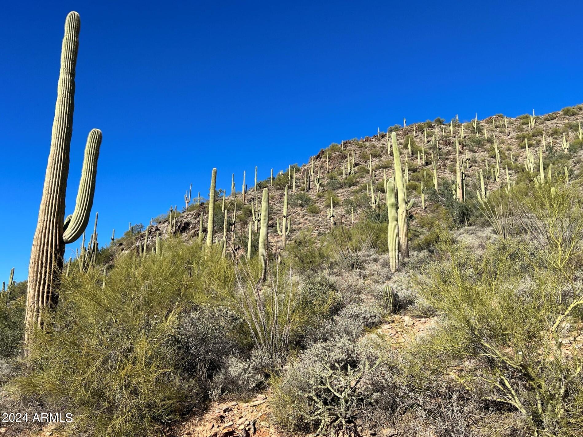 4490X N Cottonwood Canyon Road, -