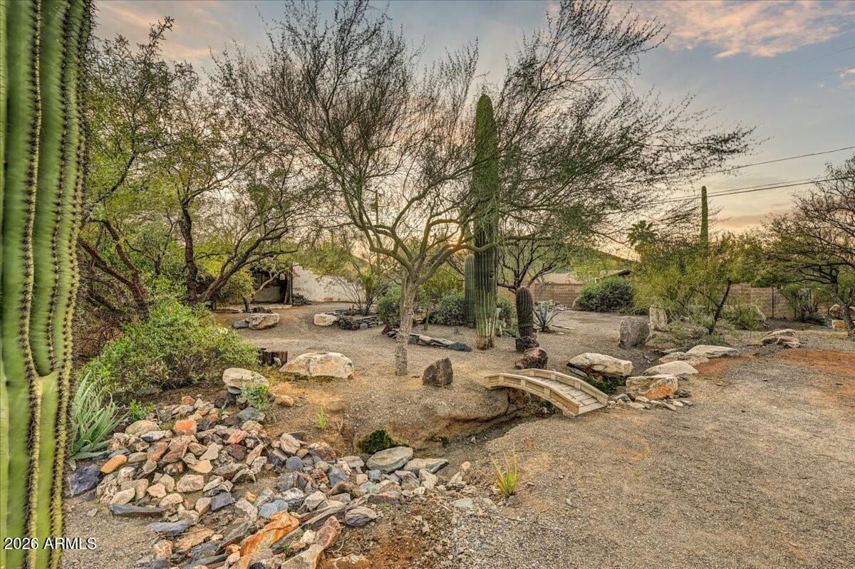 37426 N ARBUSCULA Drive