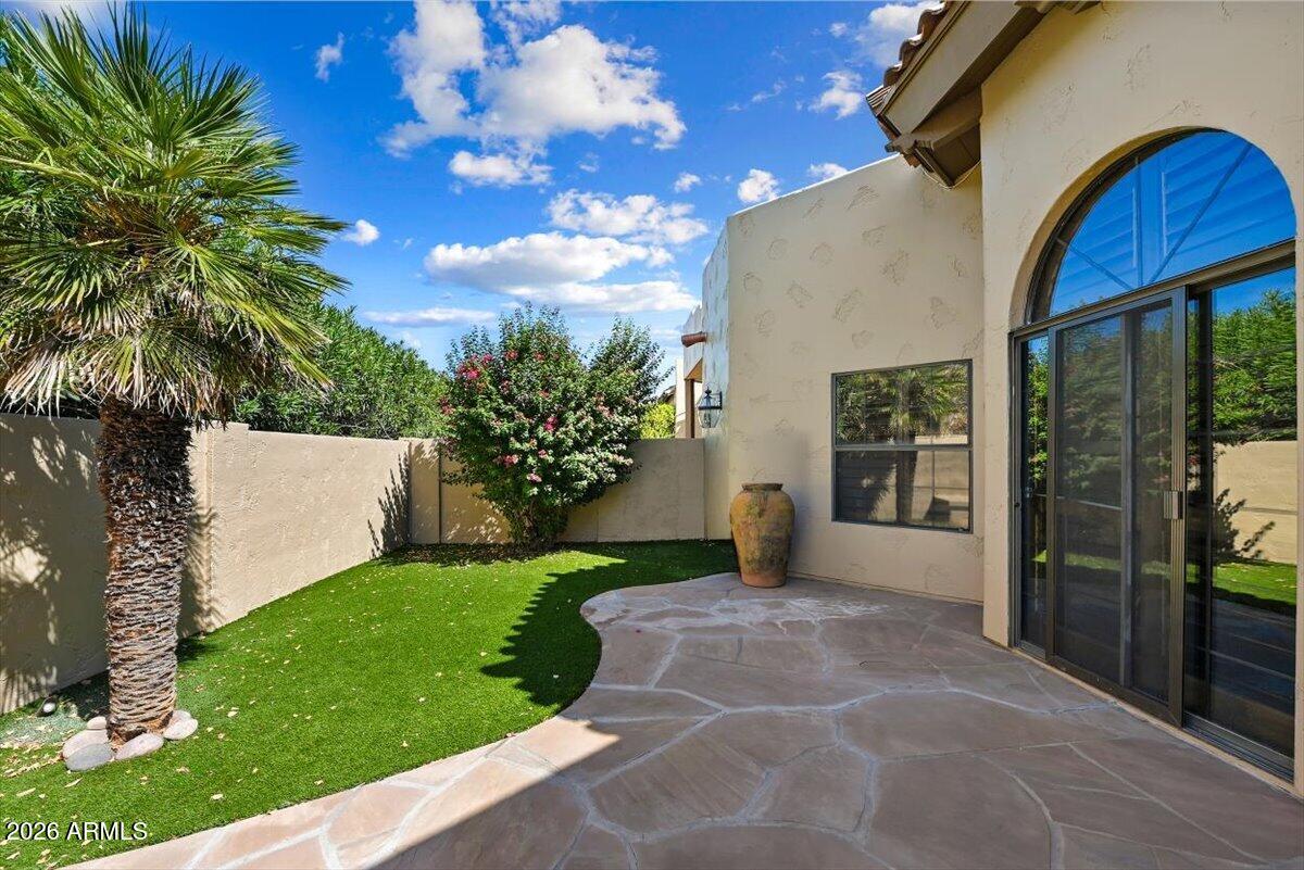 Enclosed courtyard patio with curved stone paving, a palm tree, and arched glass doors.